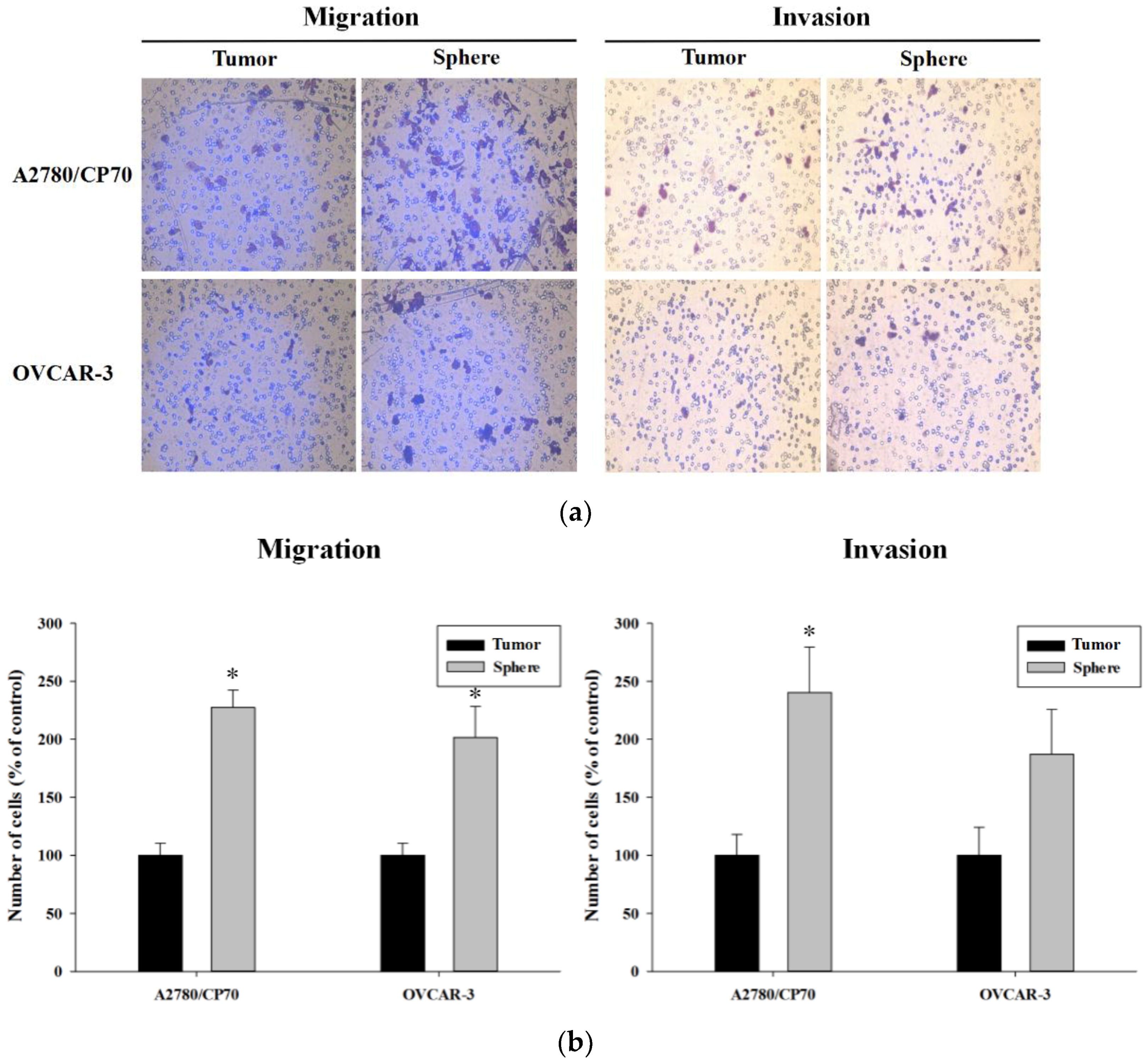 Molecules 23 01469 g003 Molecules 23 01469 g003