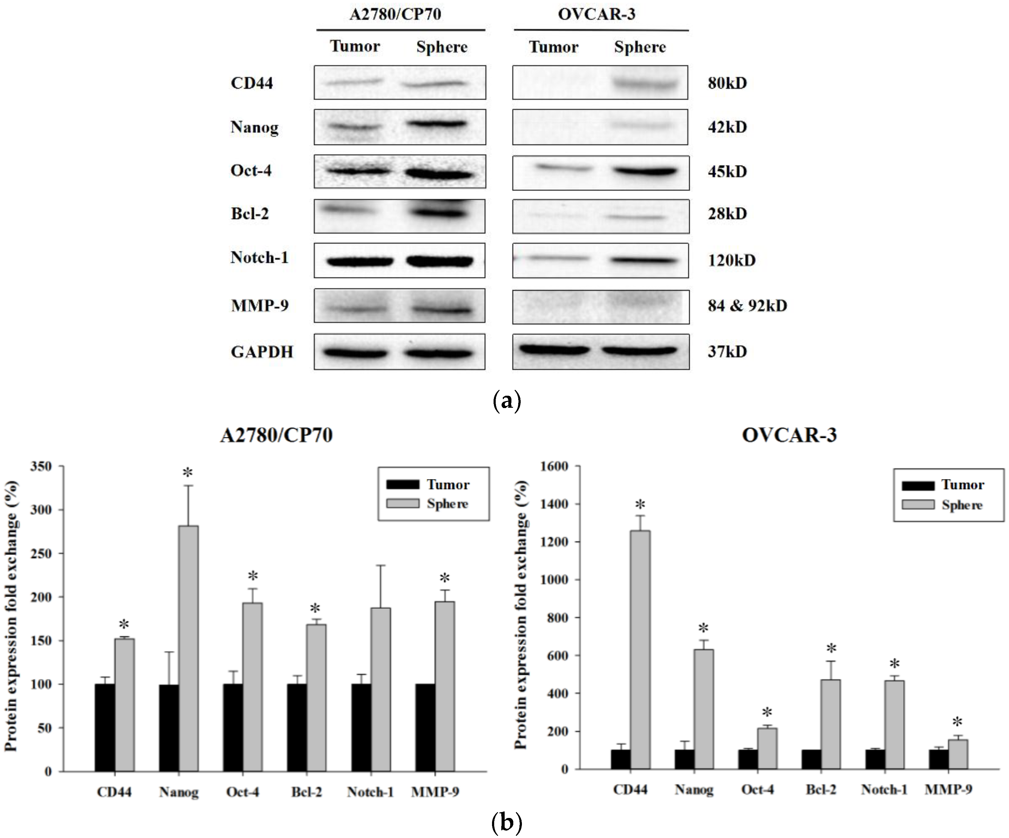 Molecules 23 01469 g004 Molecules 23 01469 g004