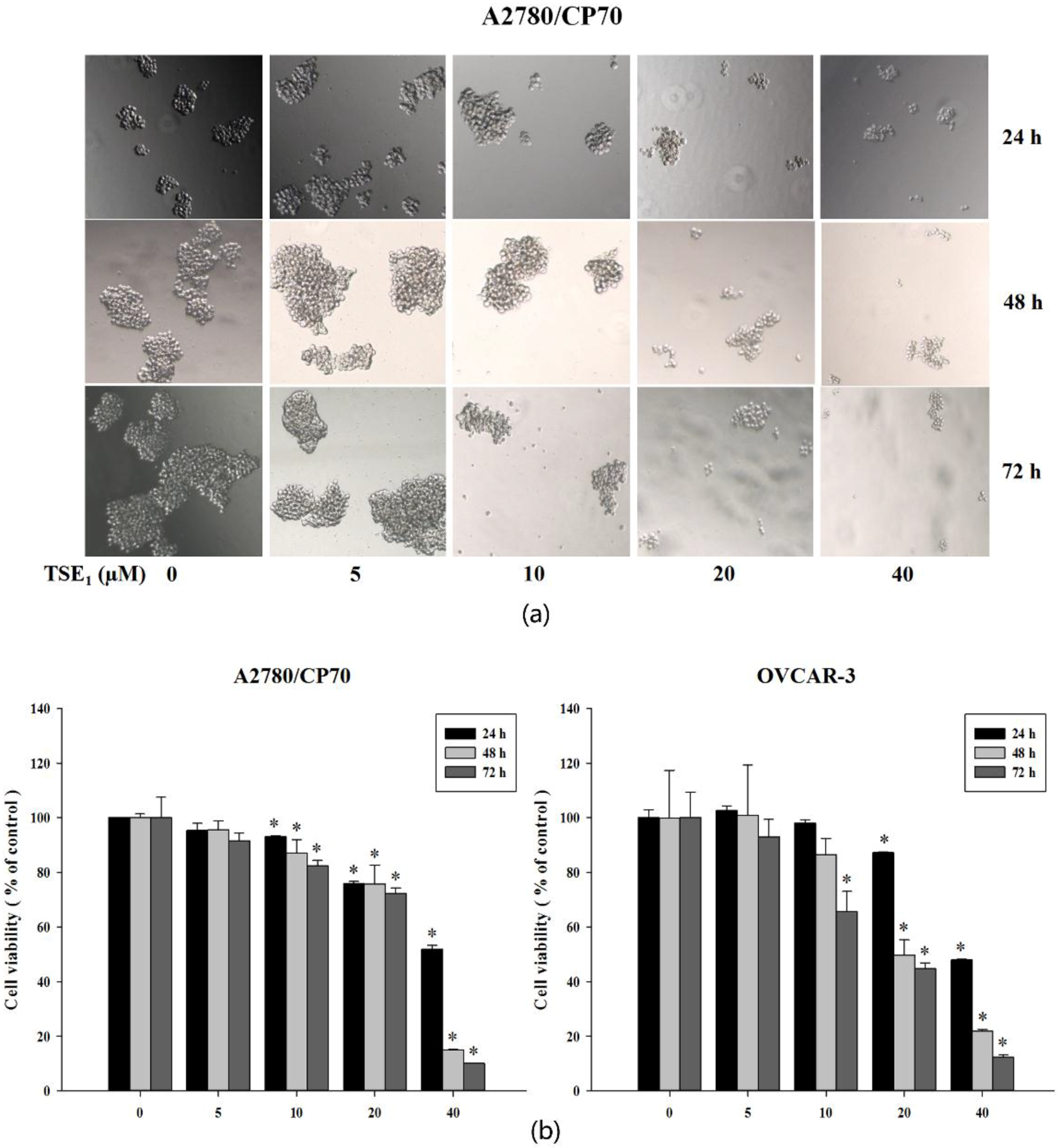 Molecules 23 01469 g005 Molecules 23 01469 g005