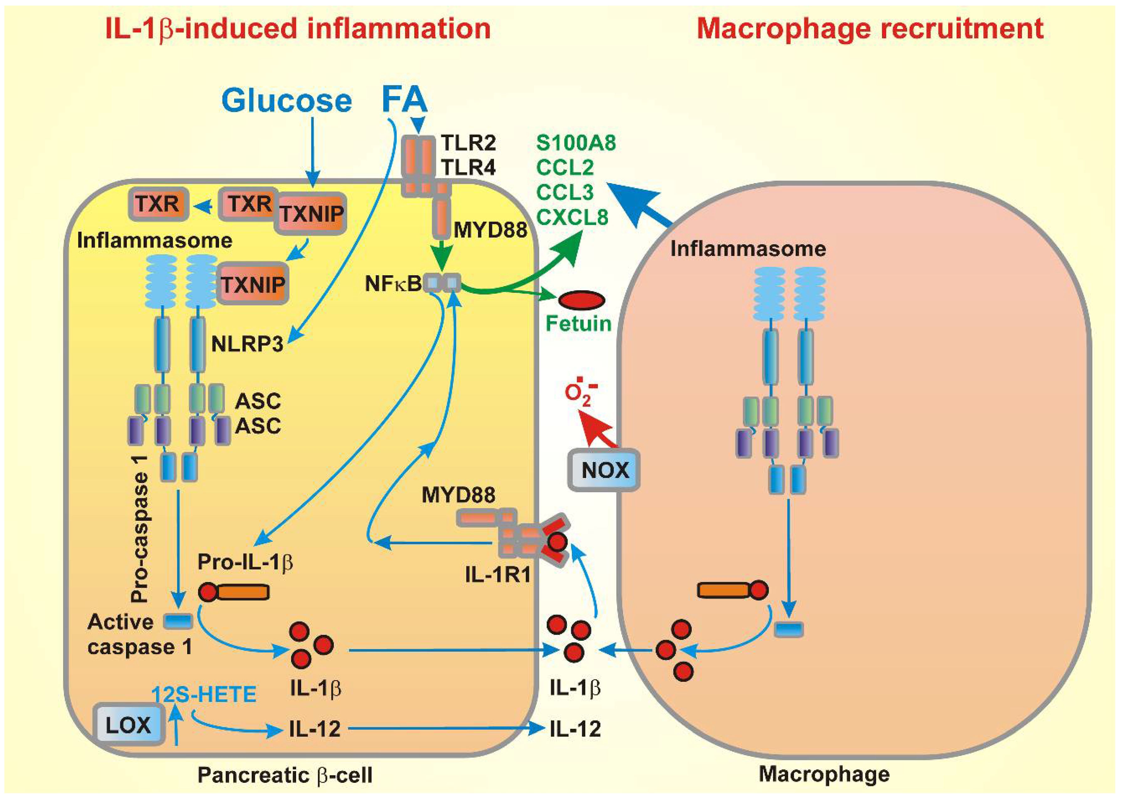 Molecules 23 01483 g004 Molecules 23 01483 g004