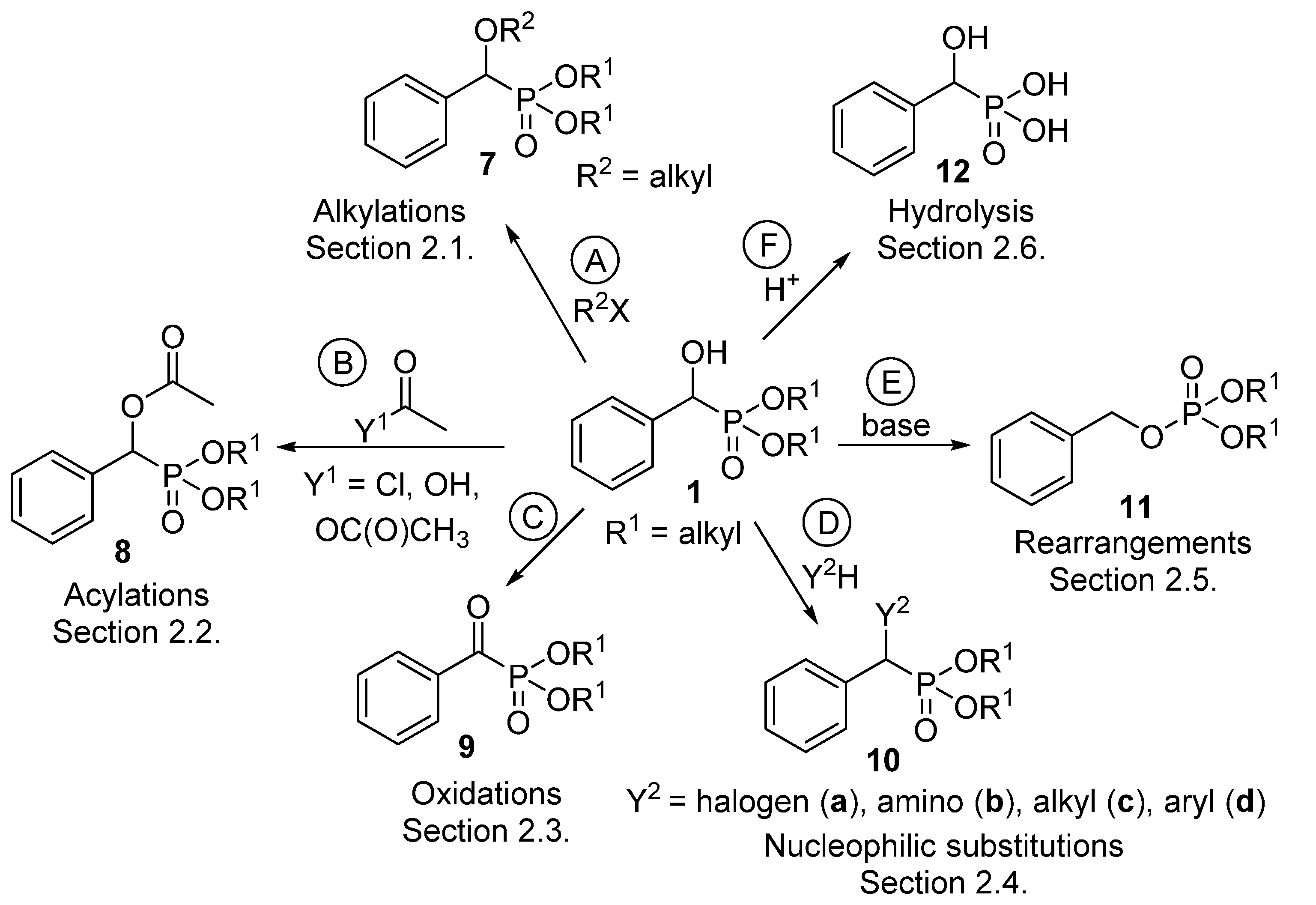 Molecules 23 01493 sch004