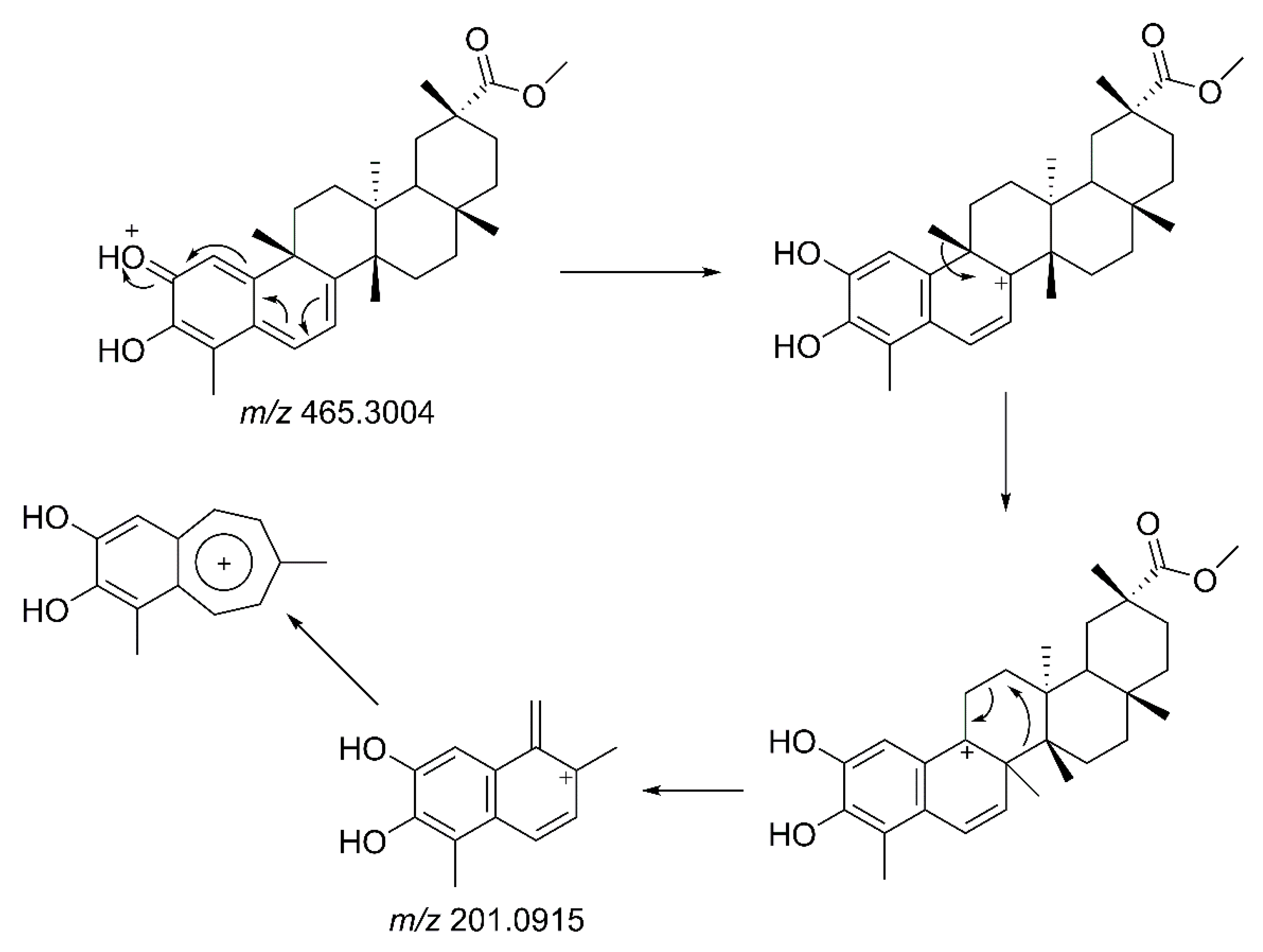 Molecules 23 01494 g003