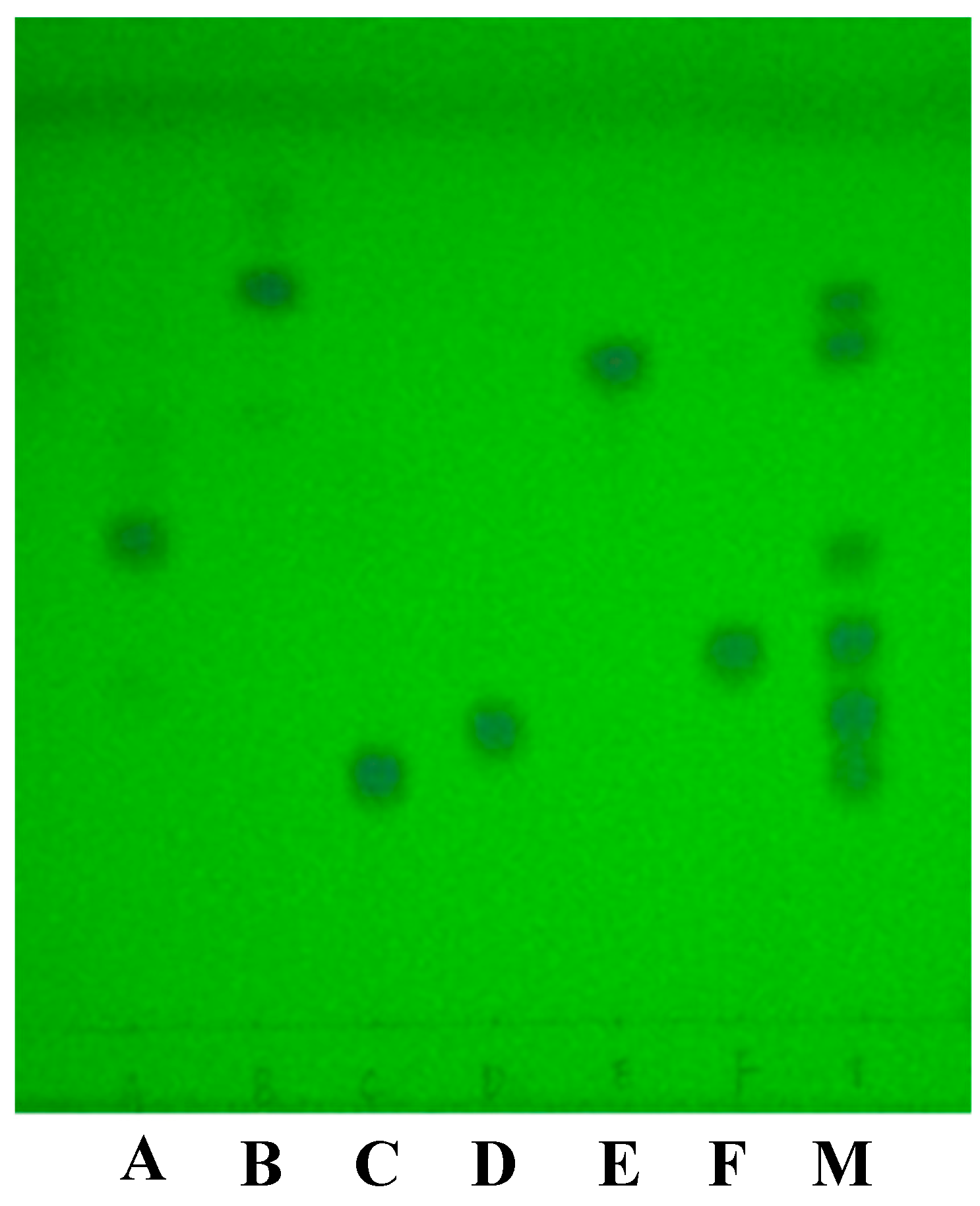 Molecules 23 01504 g001