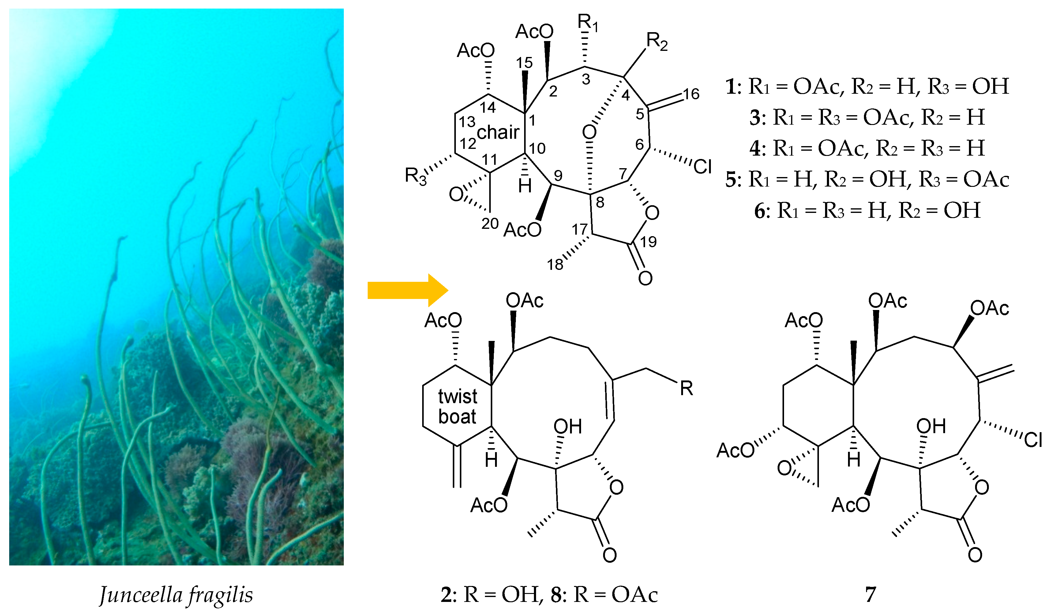 Molecules 23 01510 g001