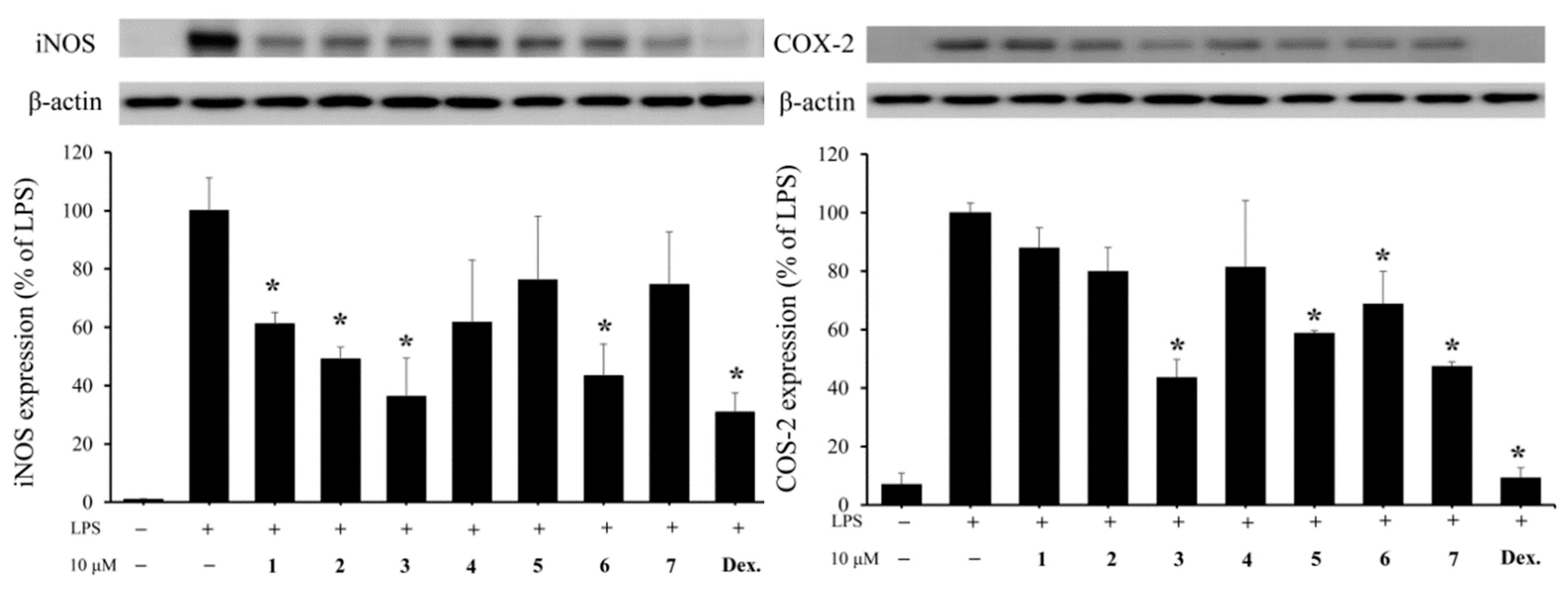 Molecules 23 01510 g004