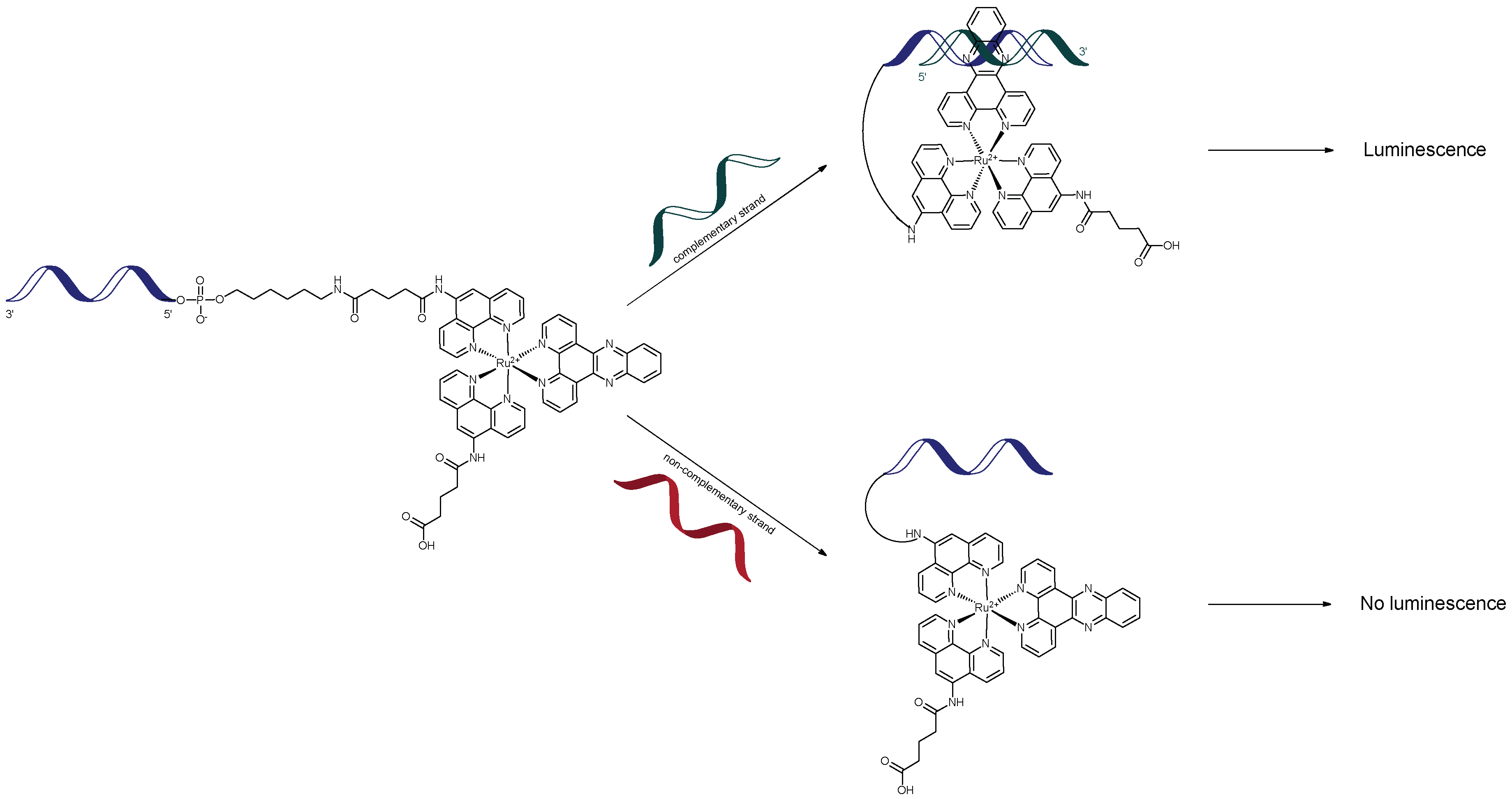 Molecules 23 01515 g001