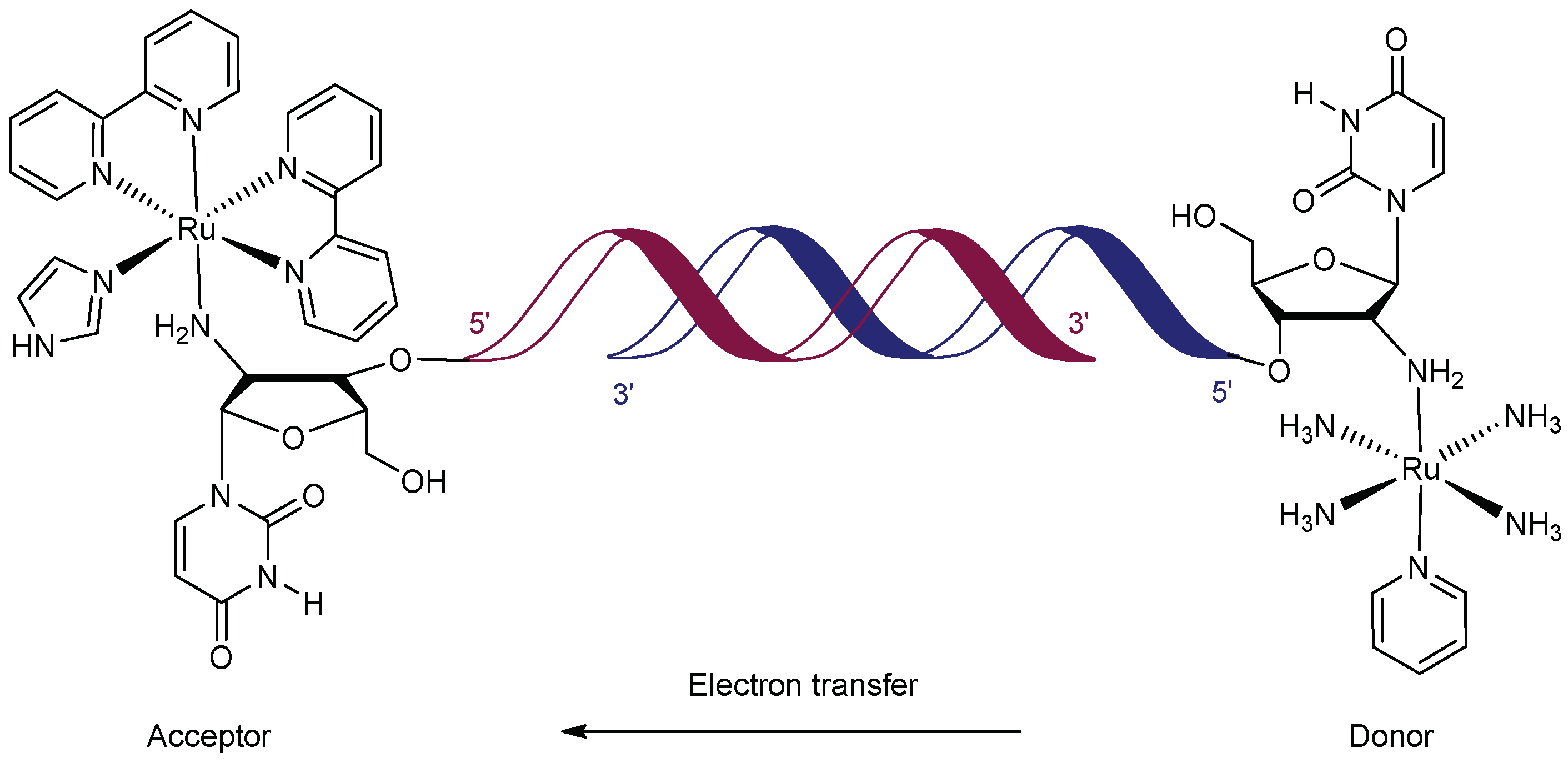 Molecules 23 01515 g002