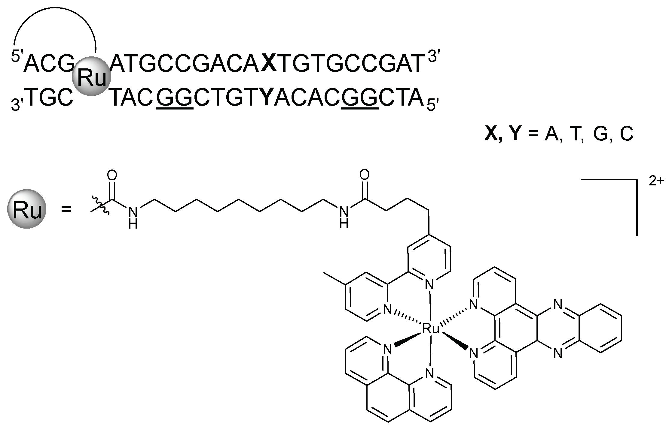 Molecules 23 01515 g004