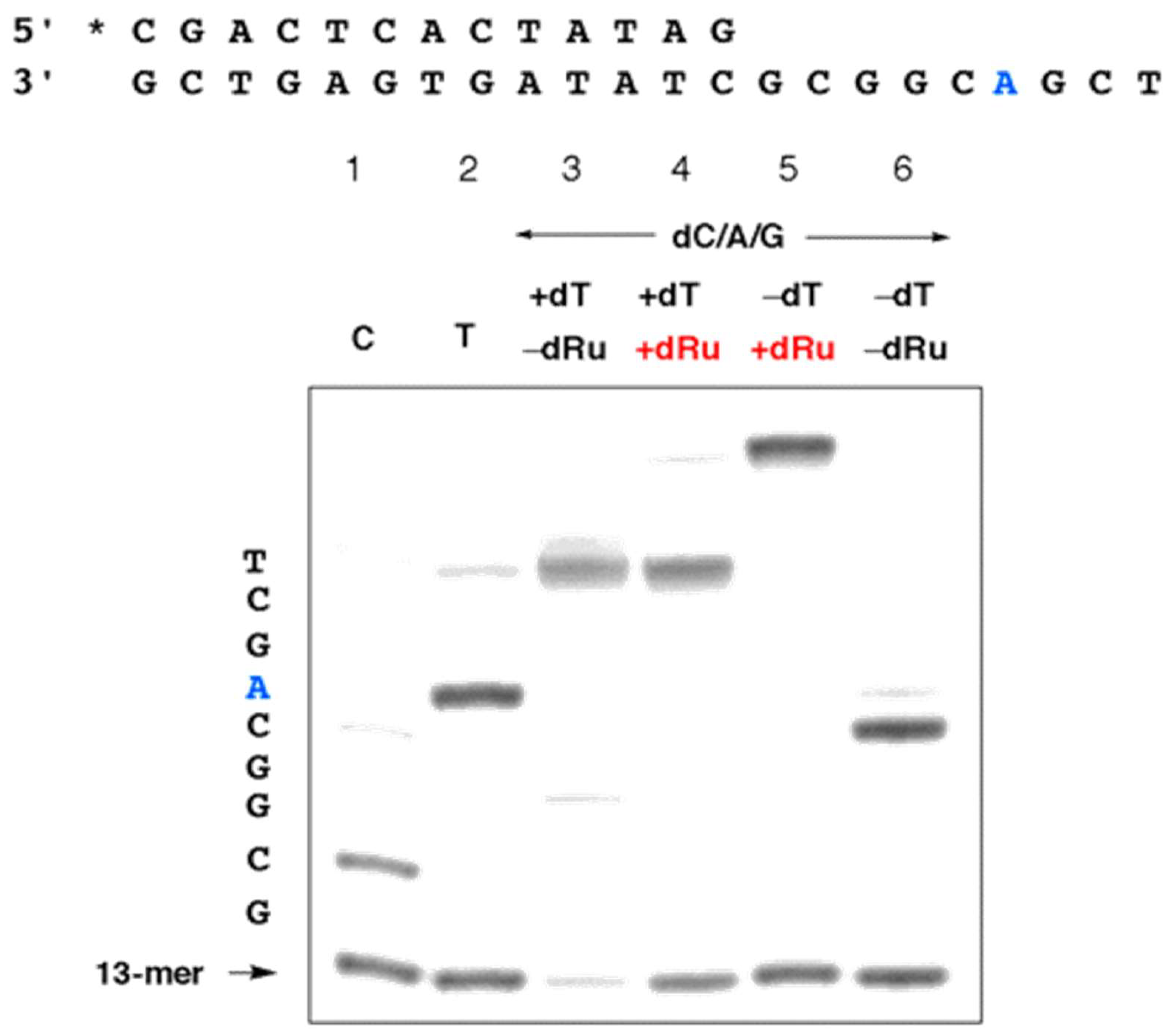 Molecules 23 01515 g007