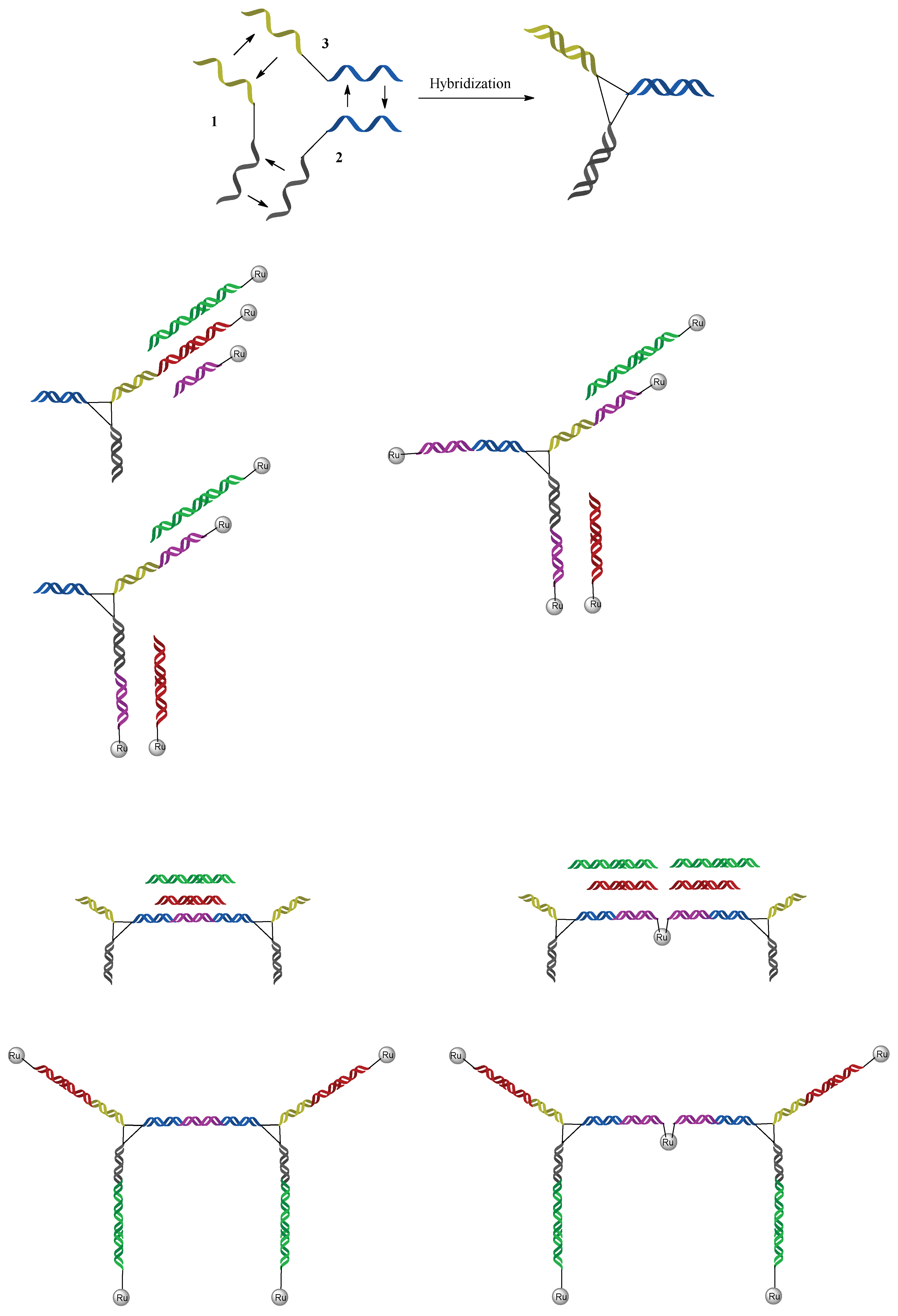 Molecules 23 01515 g013