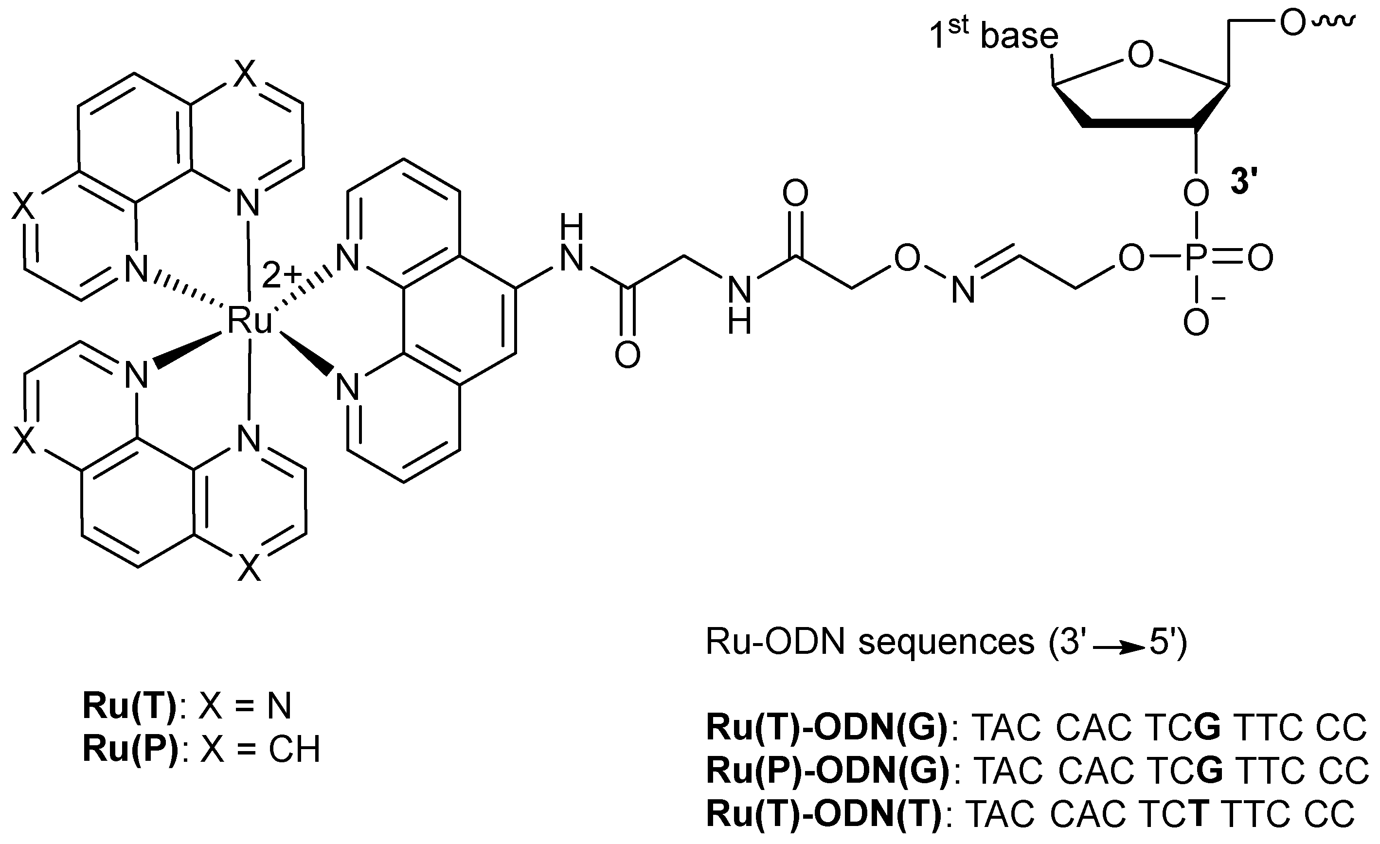 Molecules 23 01515 g016