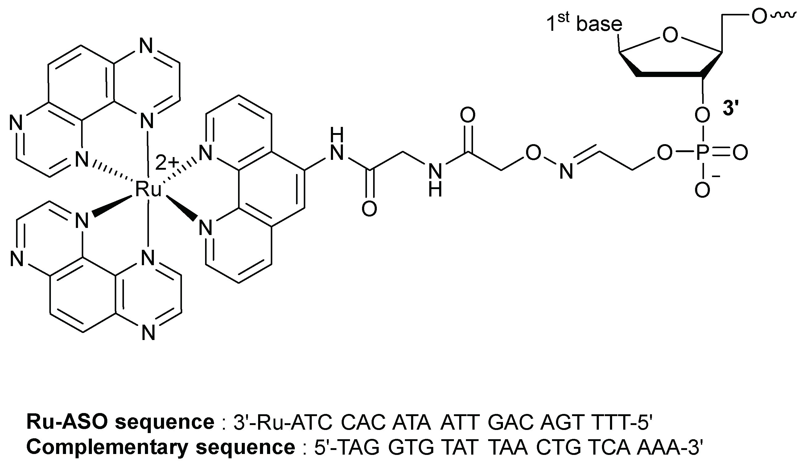 Molecules 23 01515 g018