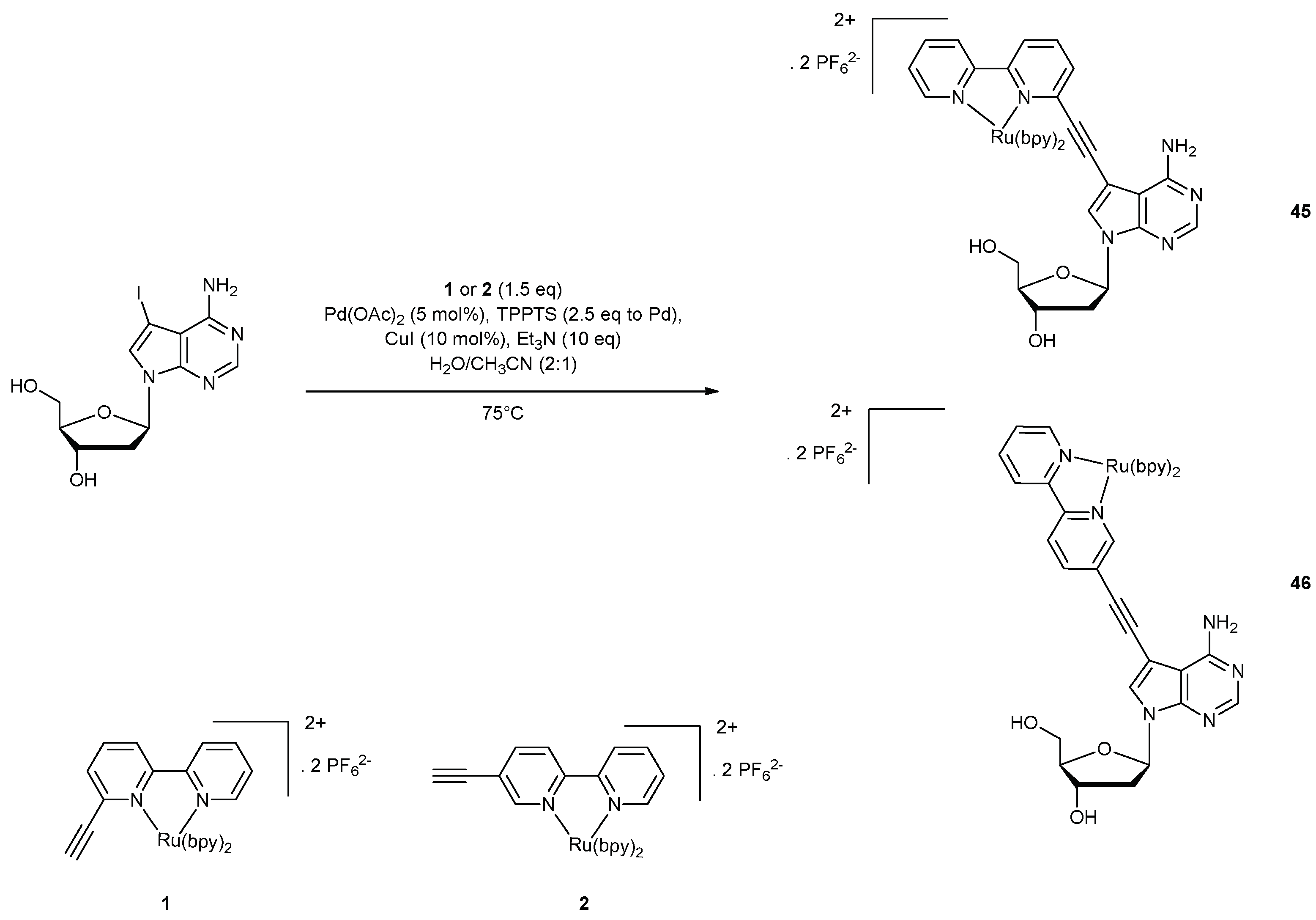 Molecules 23 01515 g019