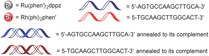 Molecules 23 01515 i006