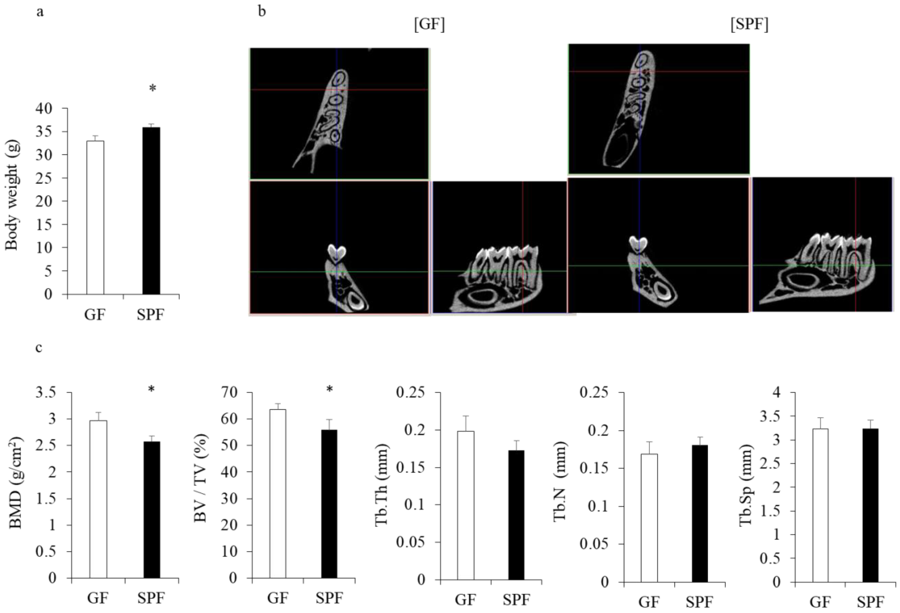 Molecules 23 01517 g001 Molecules 23 01517 g001