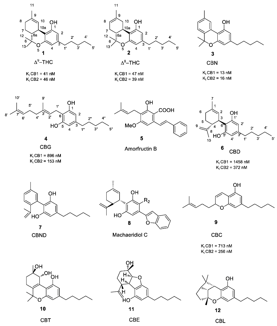 Molecules 23 01526 g001