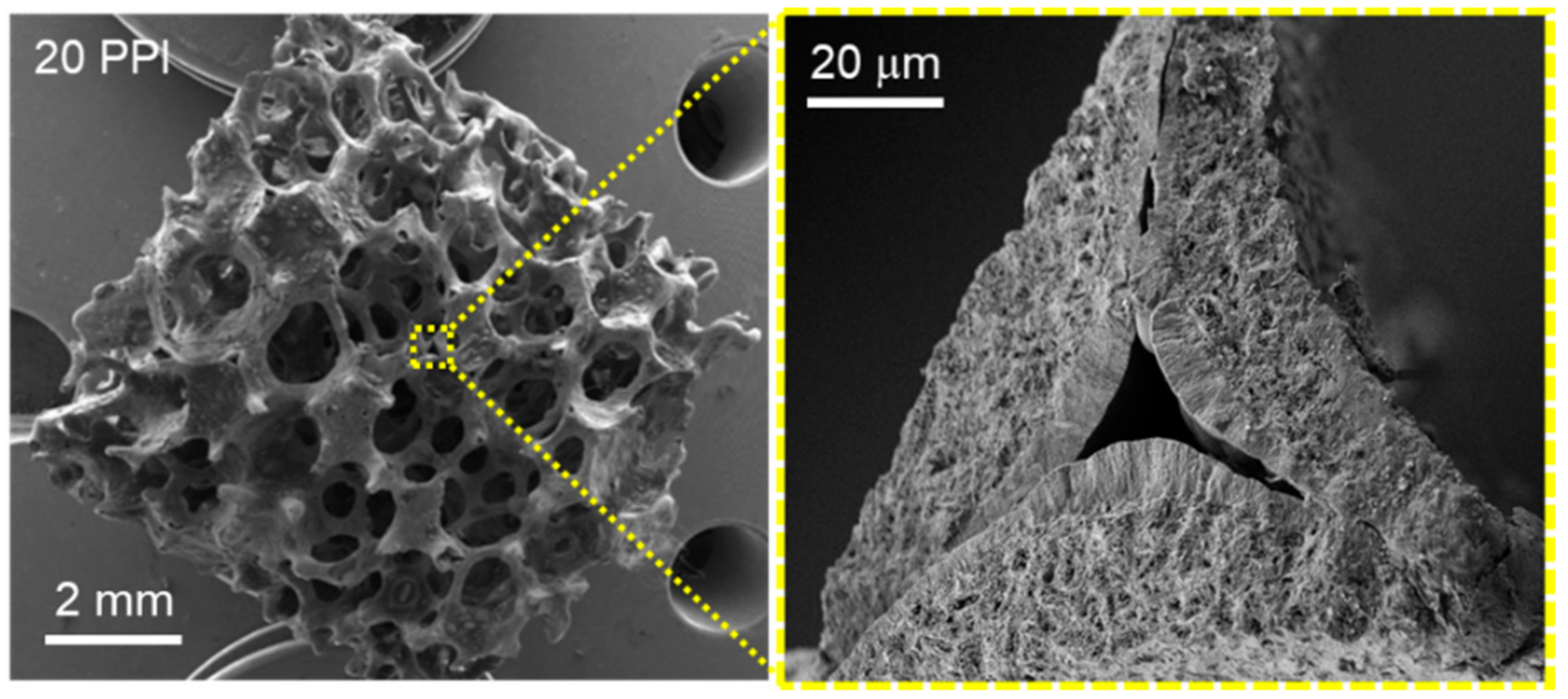 Molecules 23 01528 g001