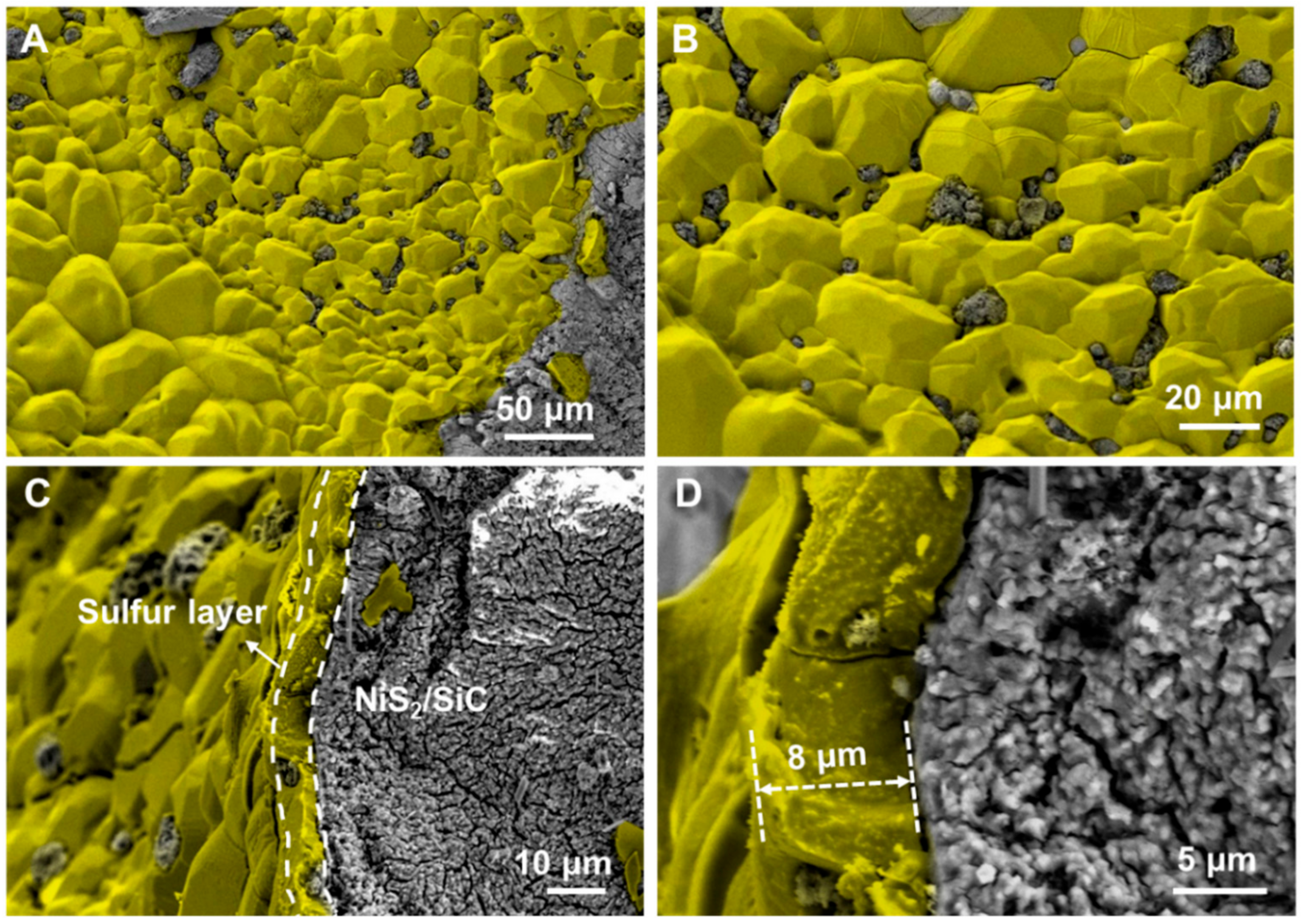 Molecules 23 01528 g005