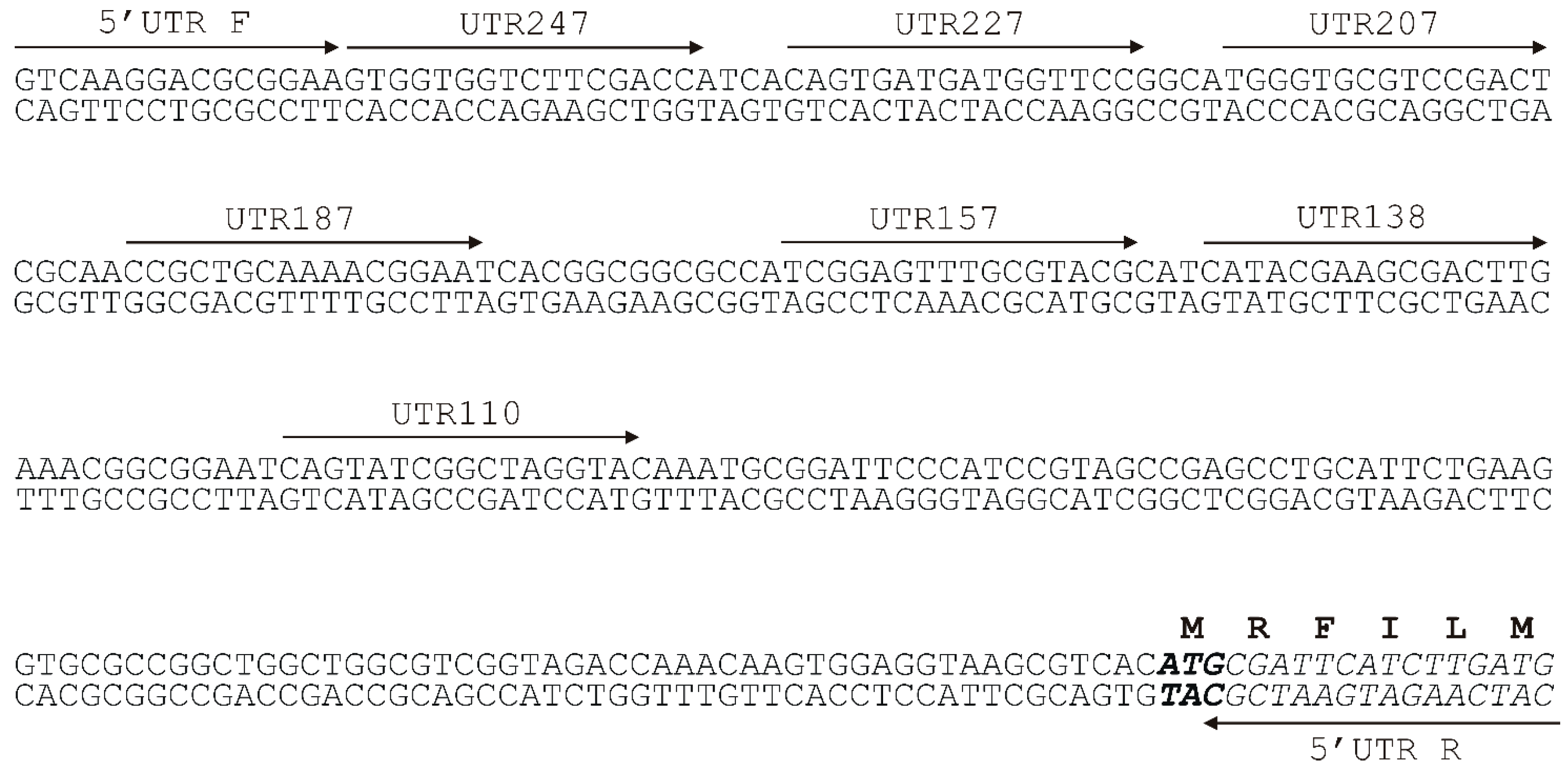 Molecules 23 01530 g002 Molecules 23 01530 g002