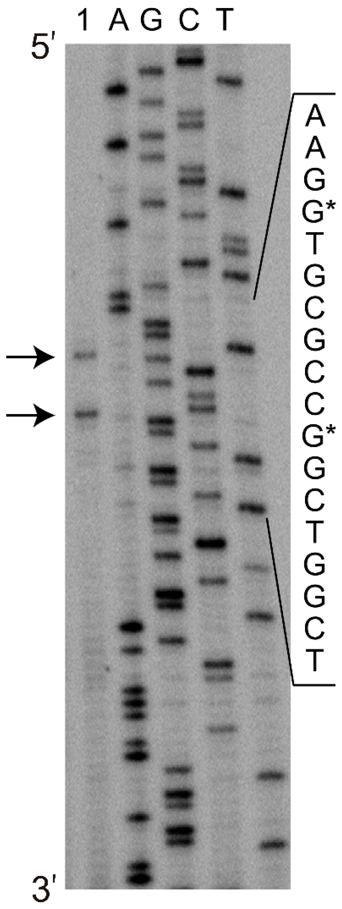 Molecules 23 01530 g003 Molecules 23 01530 g003