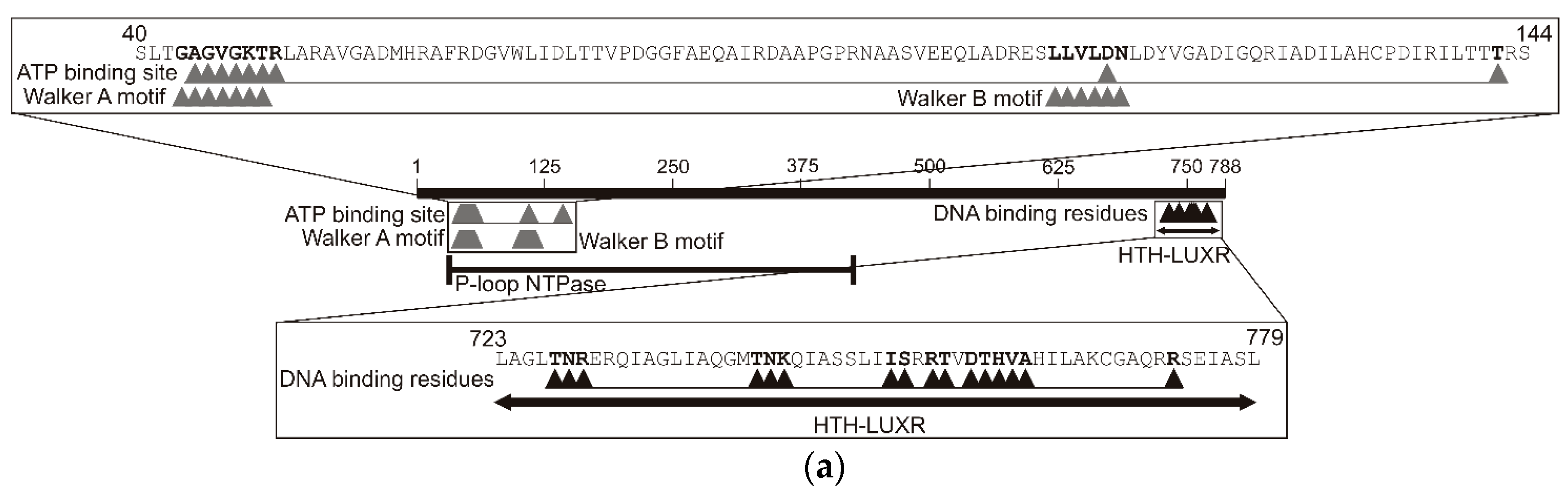 Molecules 23 01530 g006a Molecules 23 01530 g006a