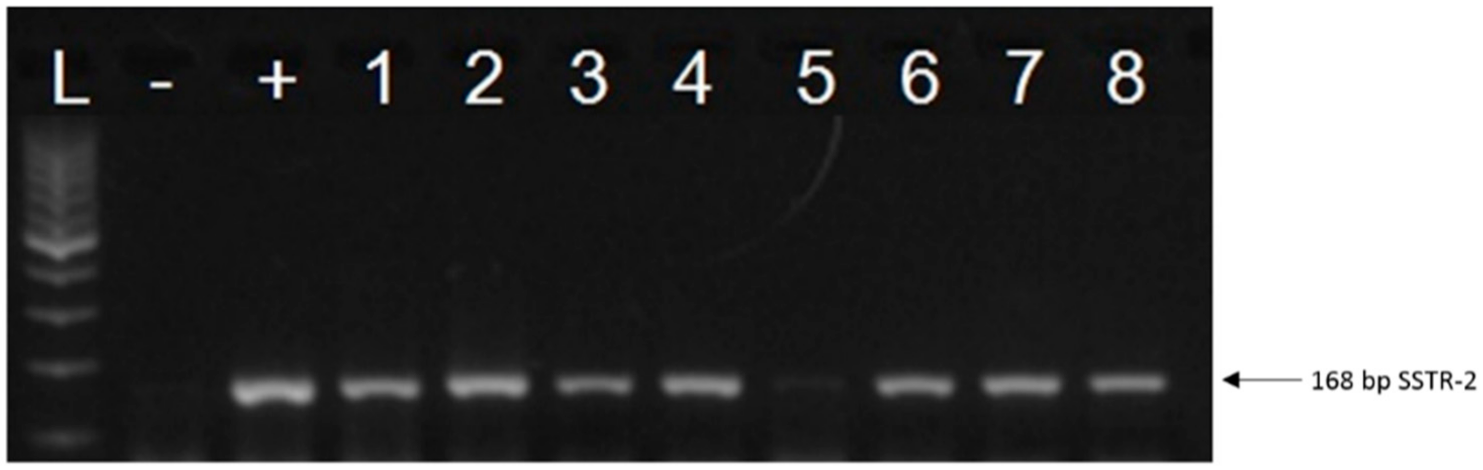 Molecules 23 01535 g001