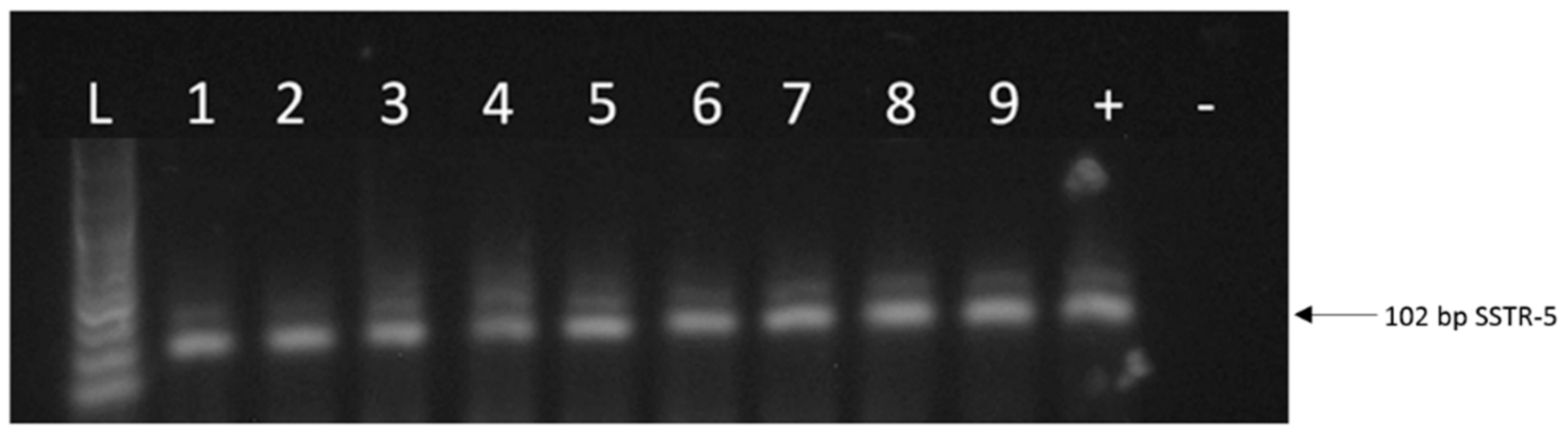 Molecules 23 01535 g002