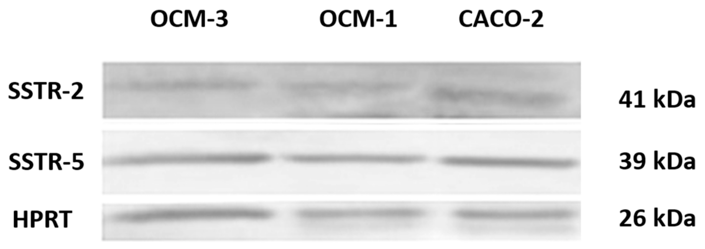 Molecules 23 01535 g004