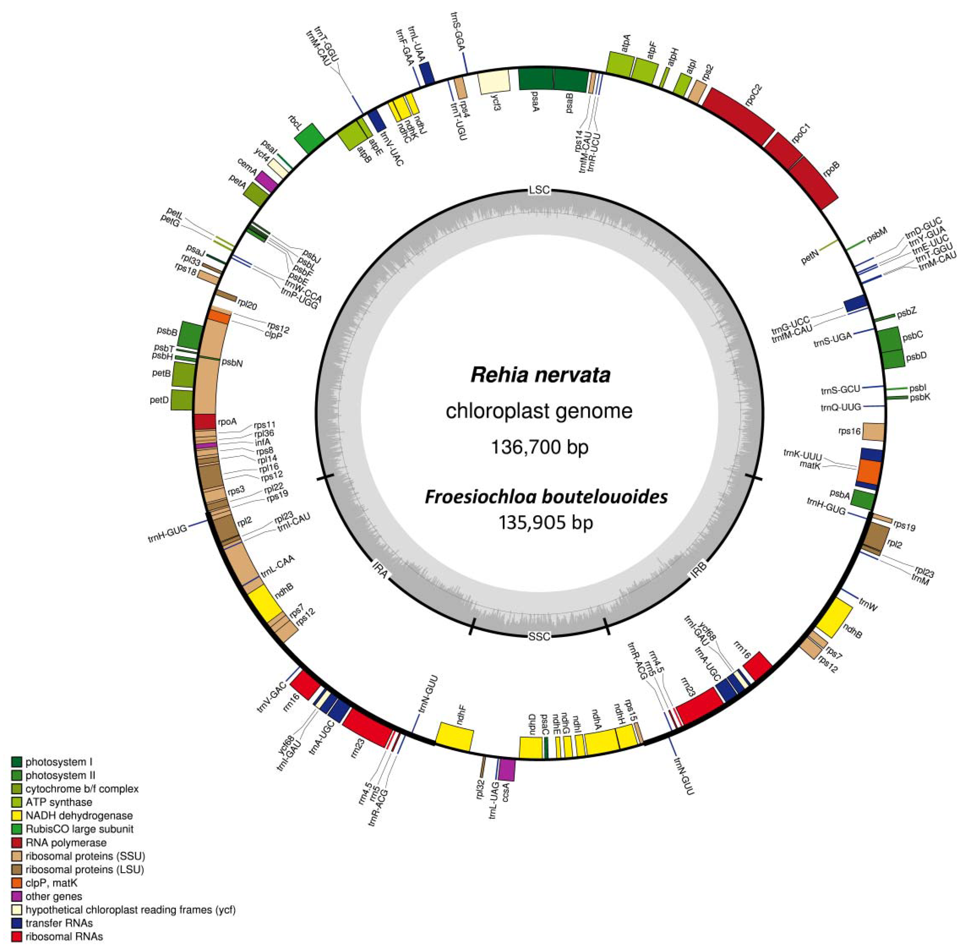Molecules 23 01537 g001 Molecules 23 01537 g001
