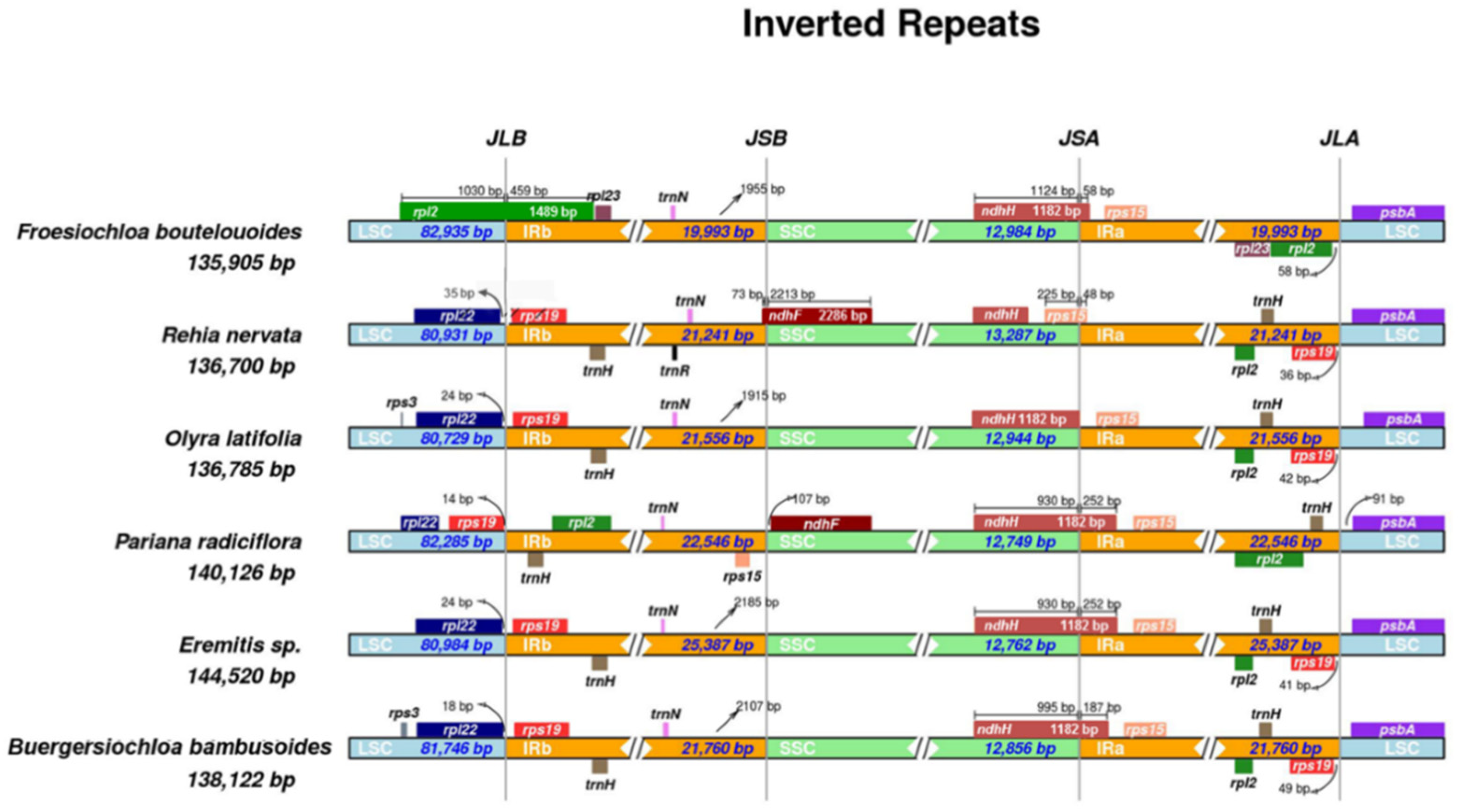 Molecules 23 01537 g004 Molecules 23 01537 g004