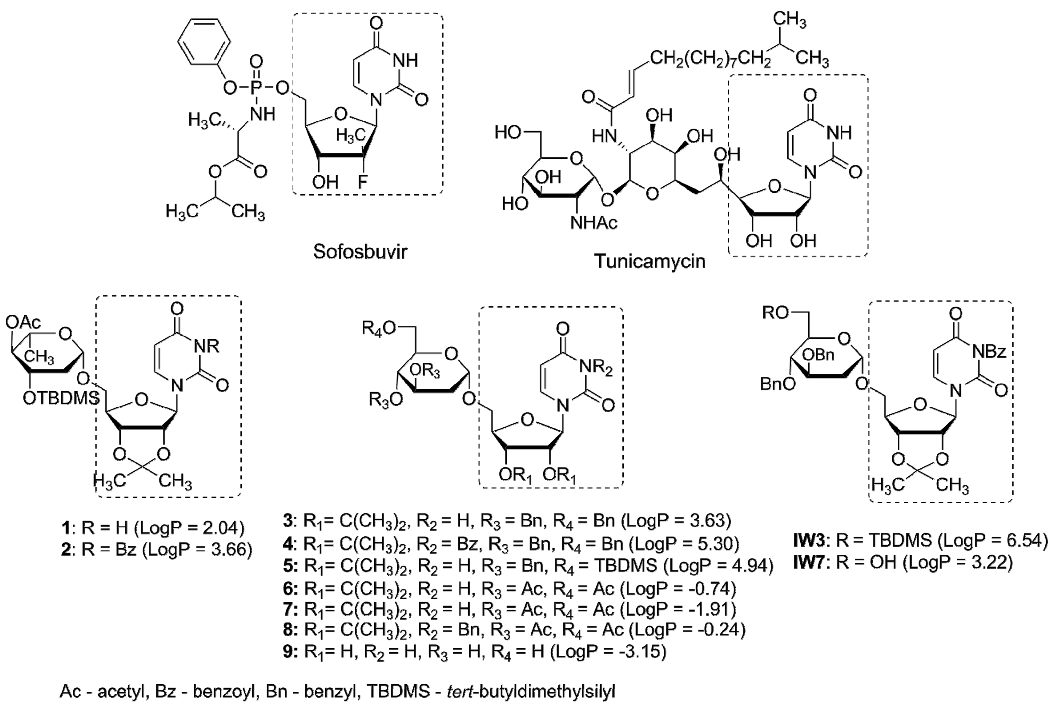 Molecules 23 01547 g001