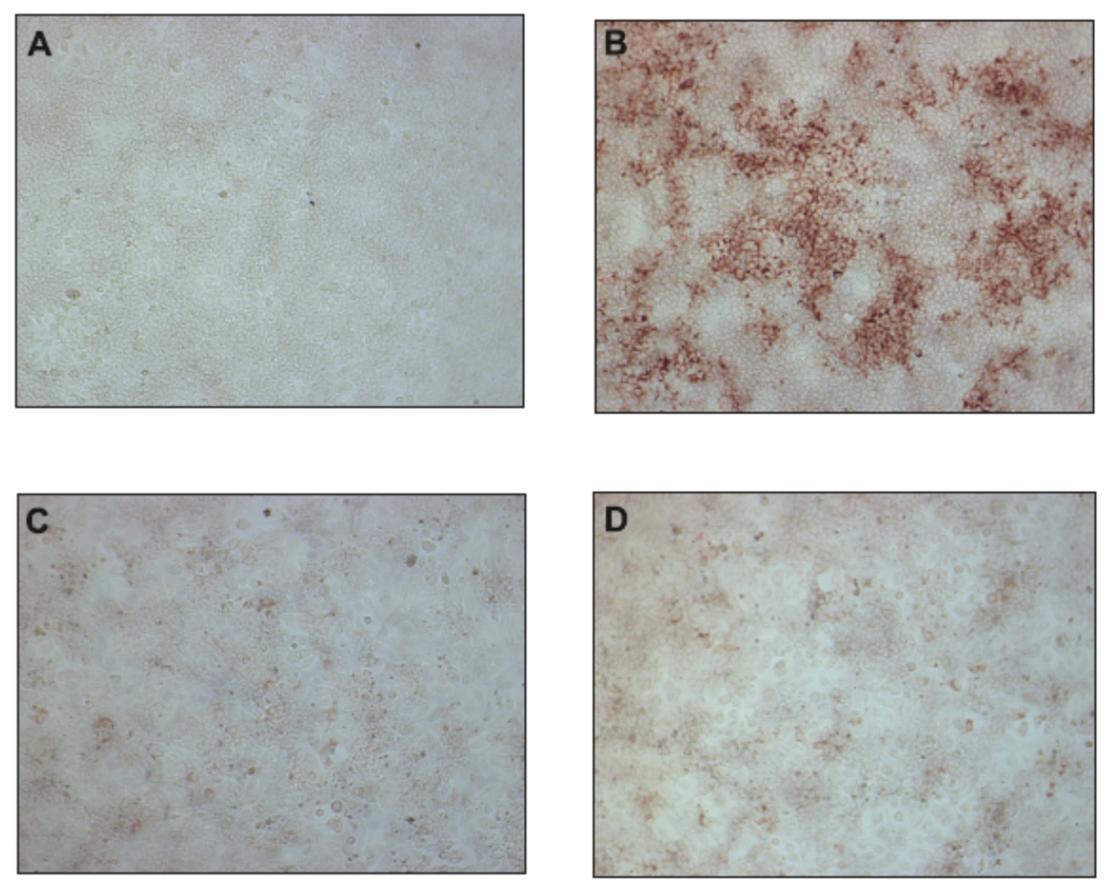 Molecules 23 01547 g003