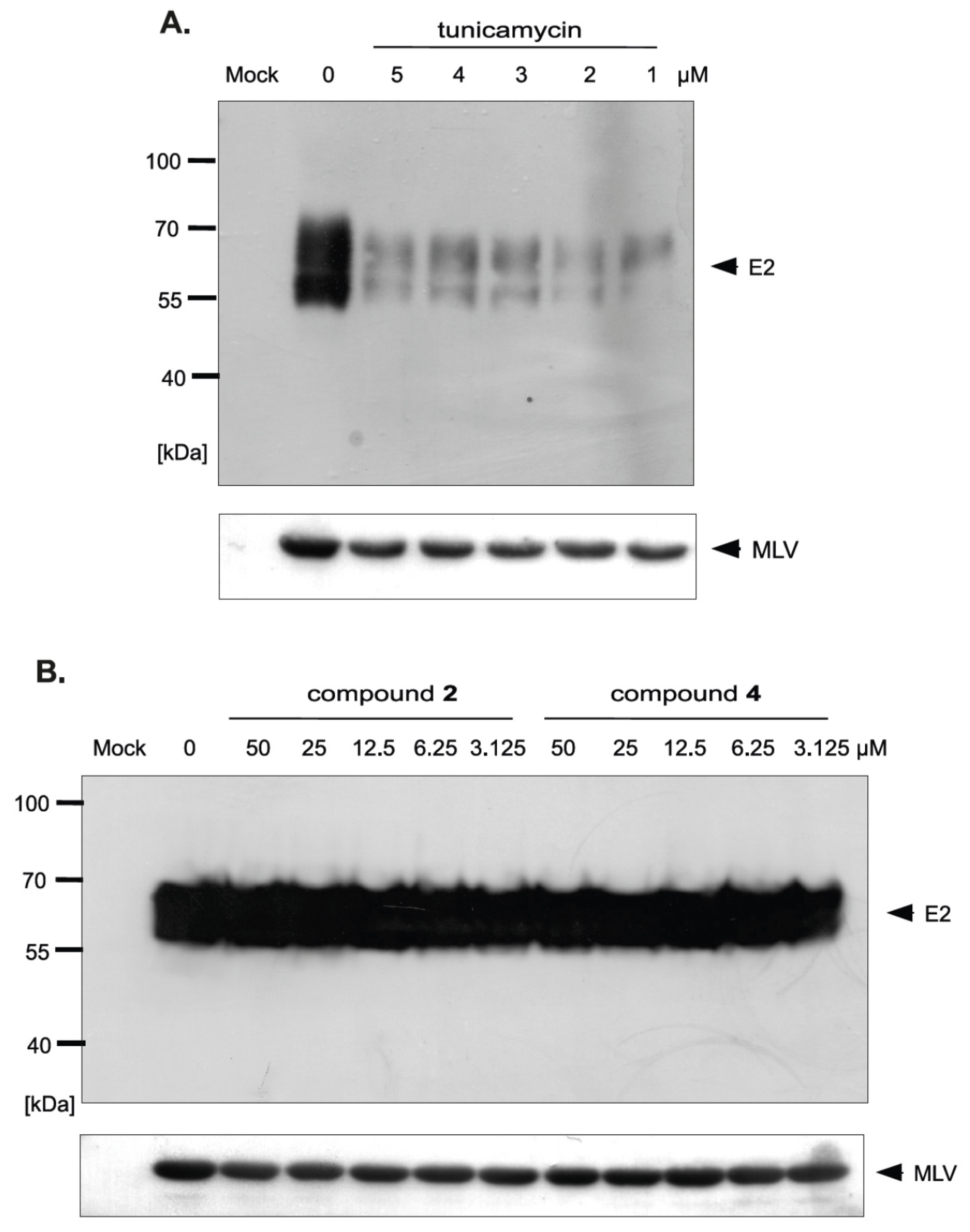 Molecules 23 01547 g009