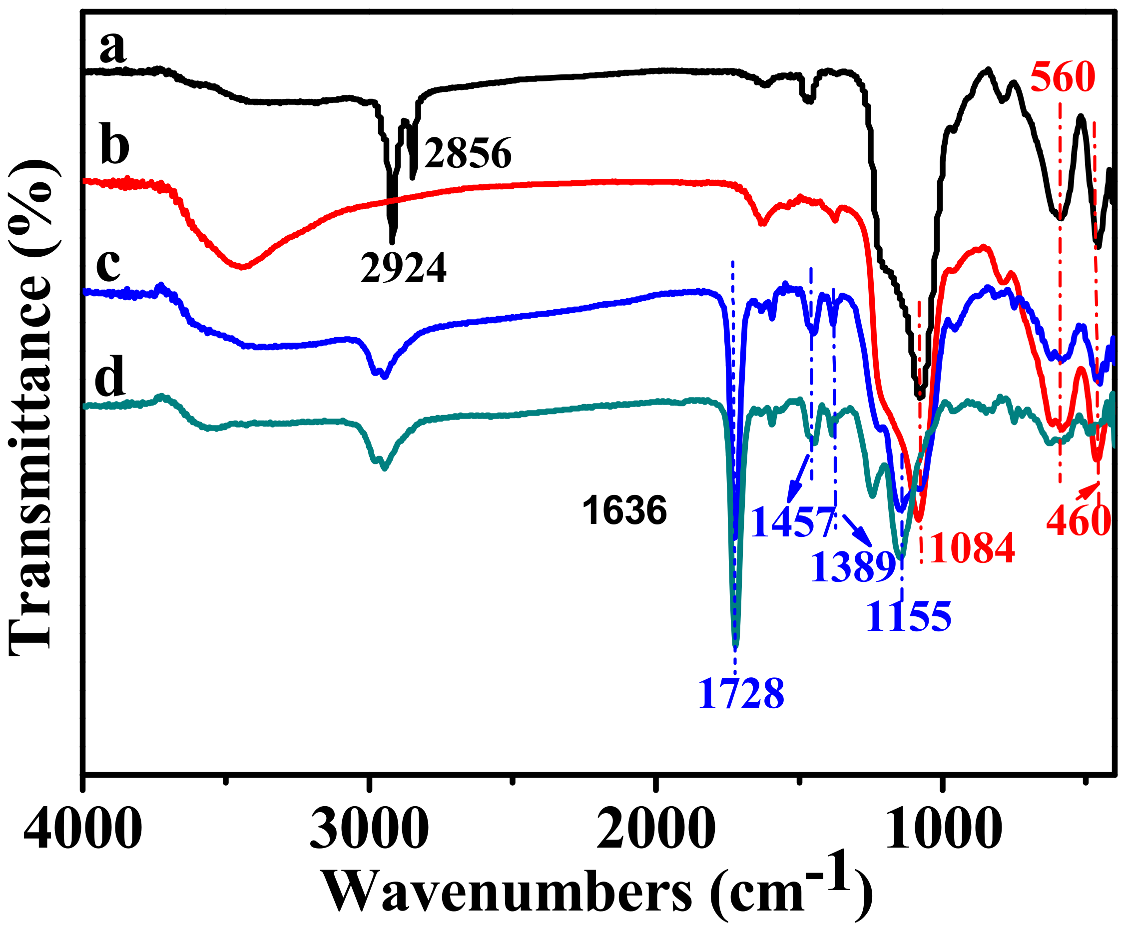 Molecules 23 01554 g001