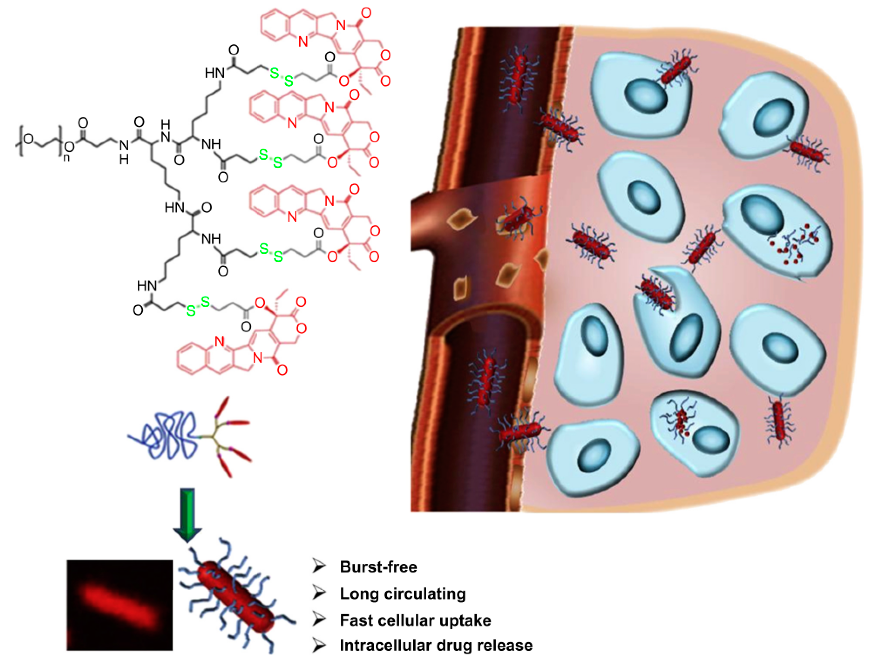 Molecules 23 01570 sch005