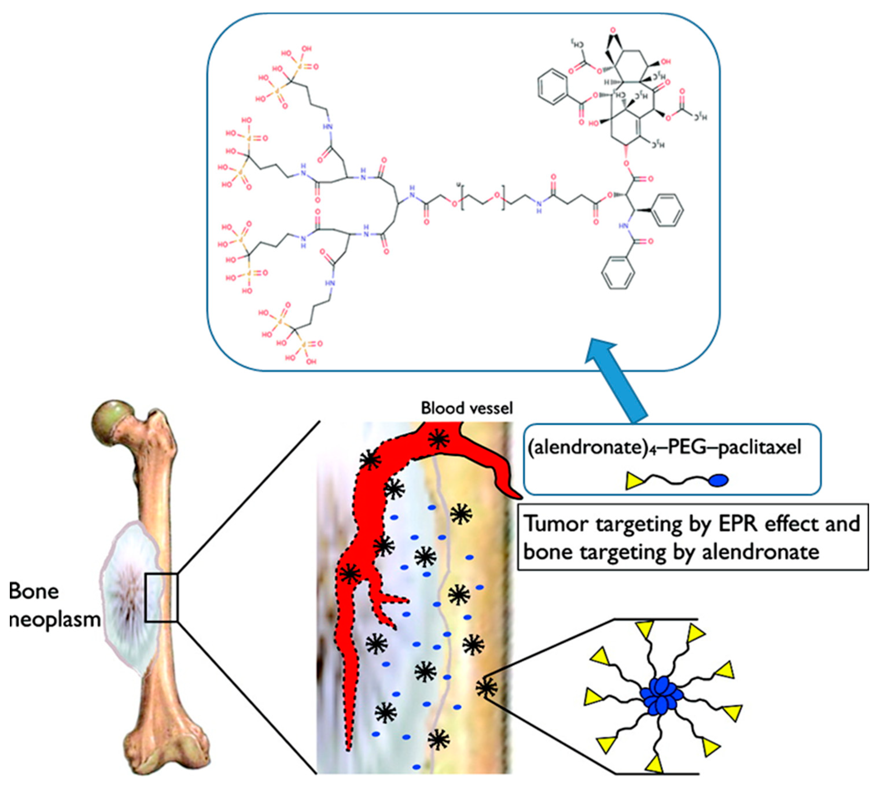 Molecules 23 01570 sch006