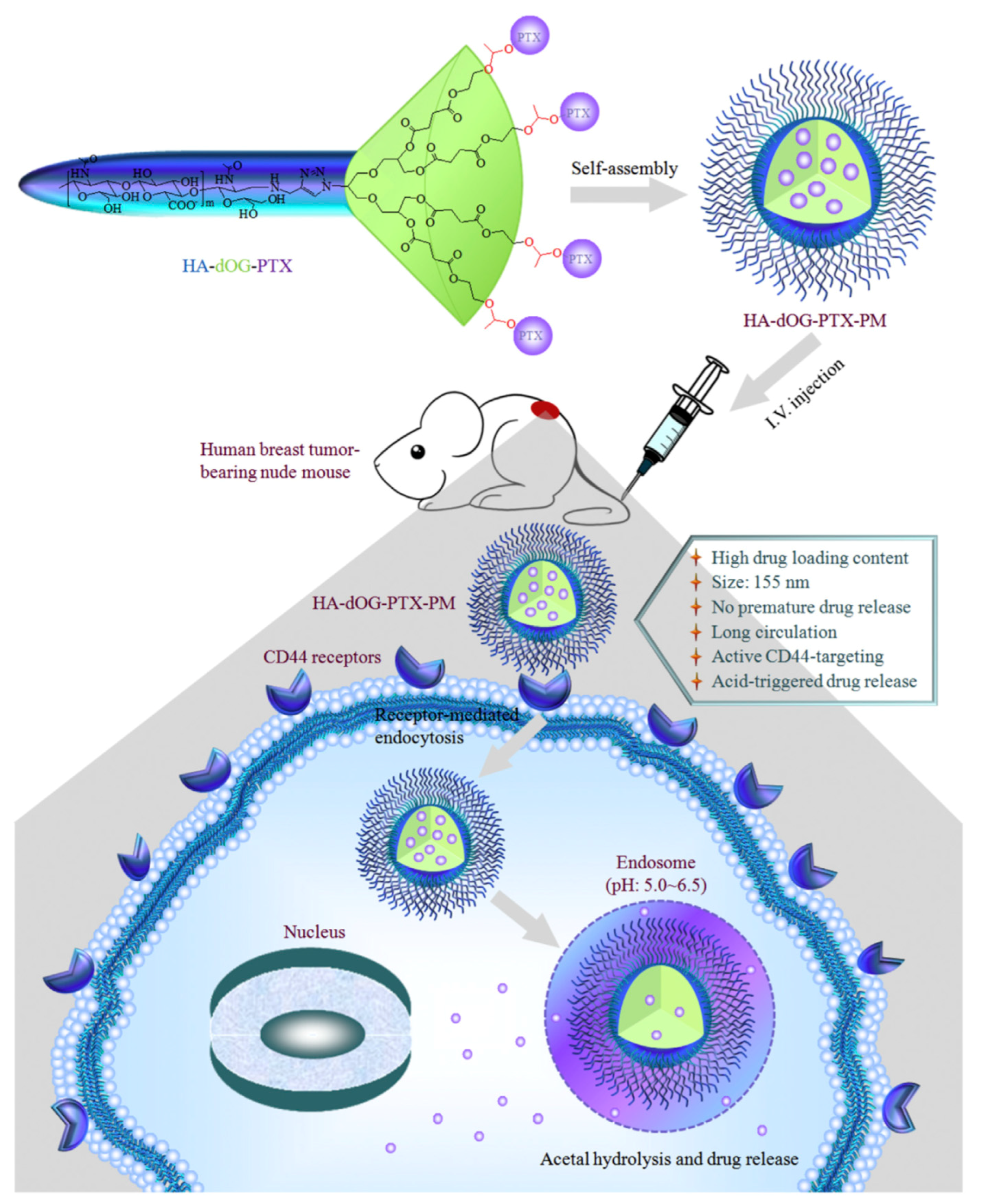 Molecules 23 01570 sch014