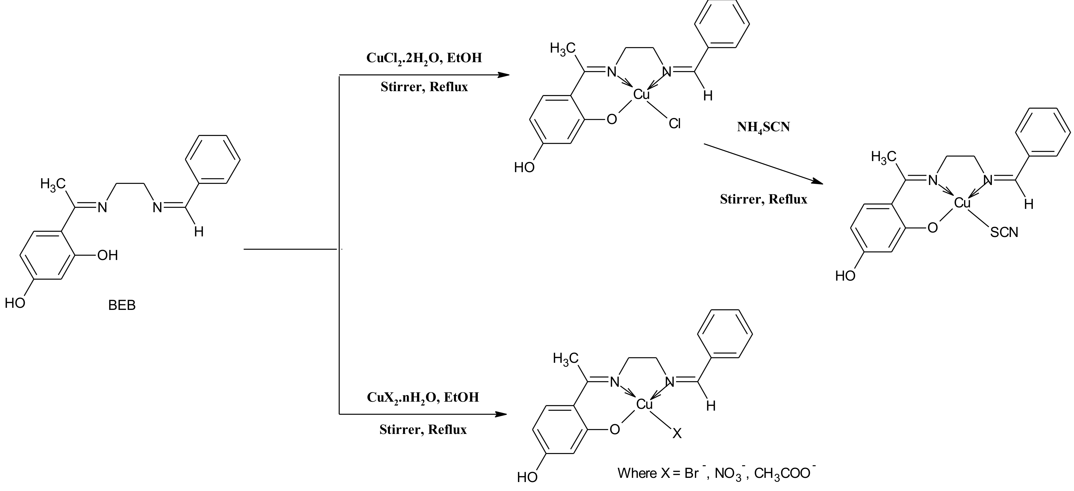 Molecules 23 01581 sch001