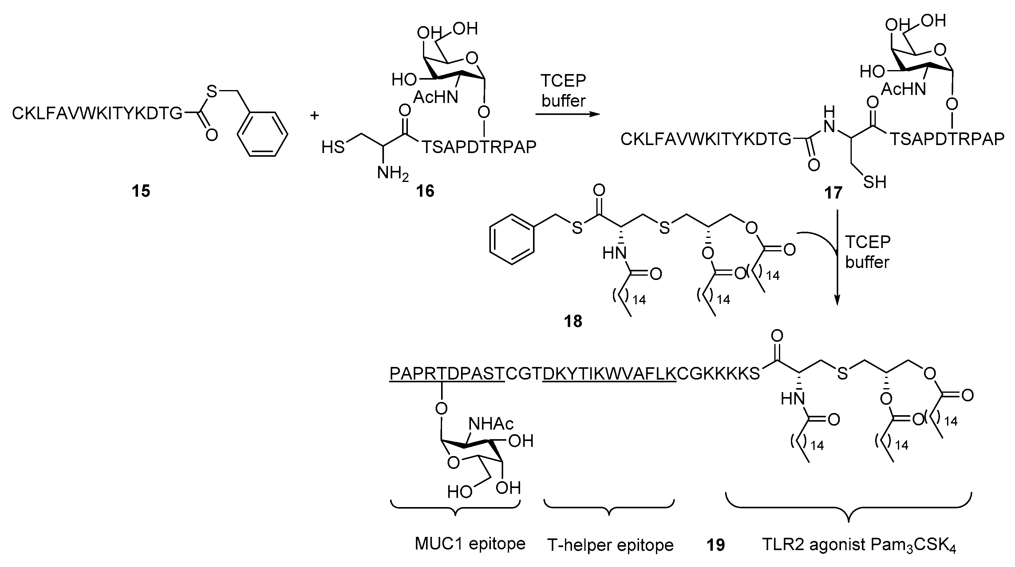 Molecules 23 01583 sch003