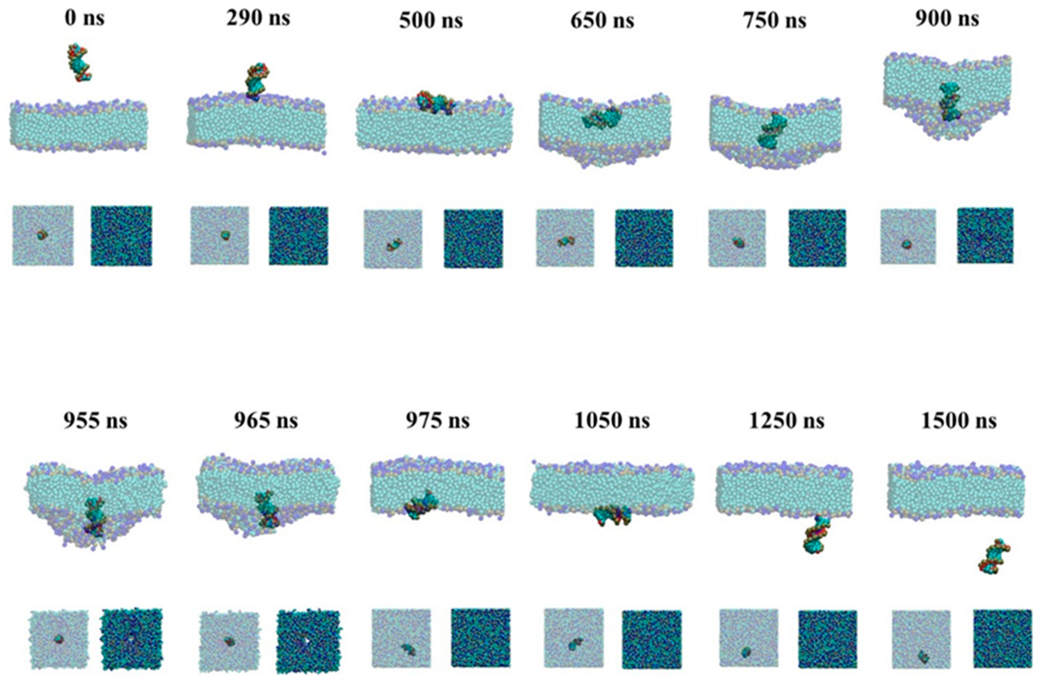 Molecules 23 01586 g002 Molecules 23 01586 g002