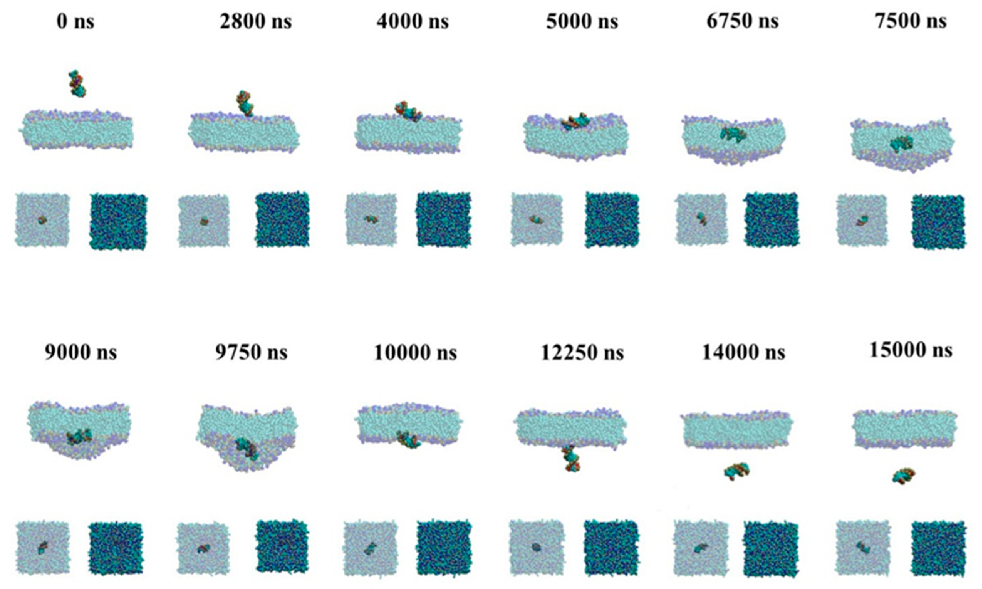 Molecules 23 01586 g003 Molecules 23 01586 g003