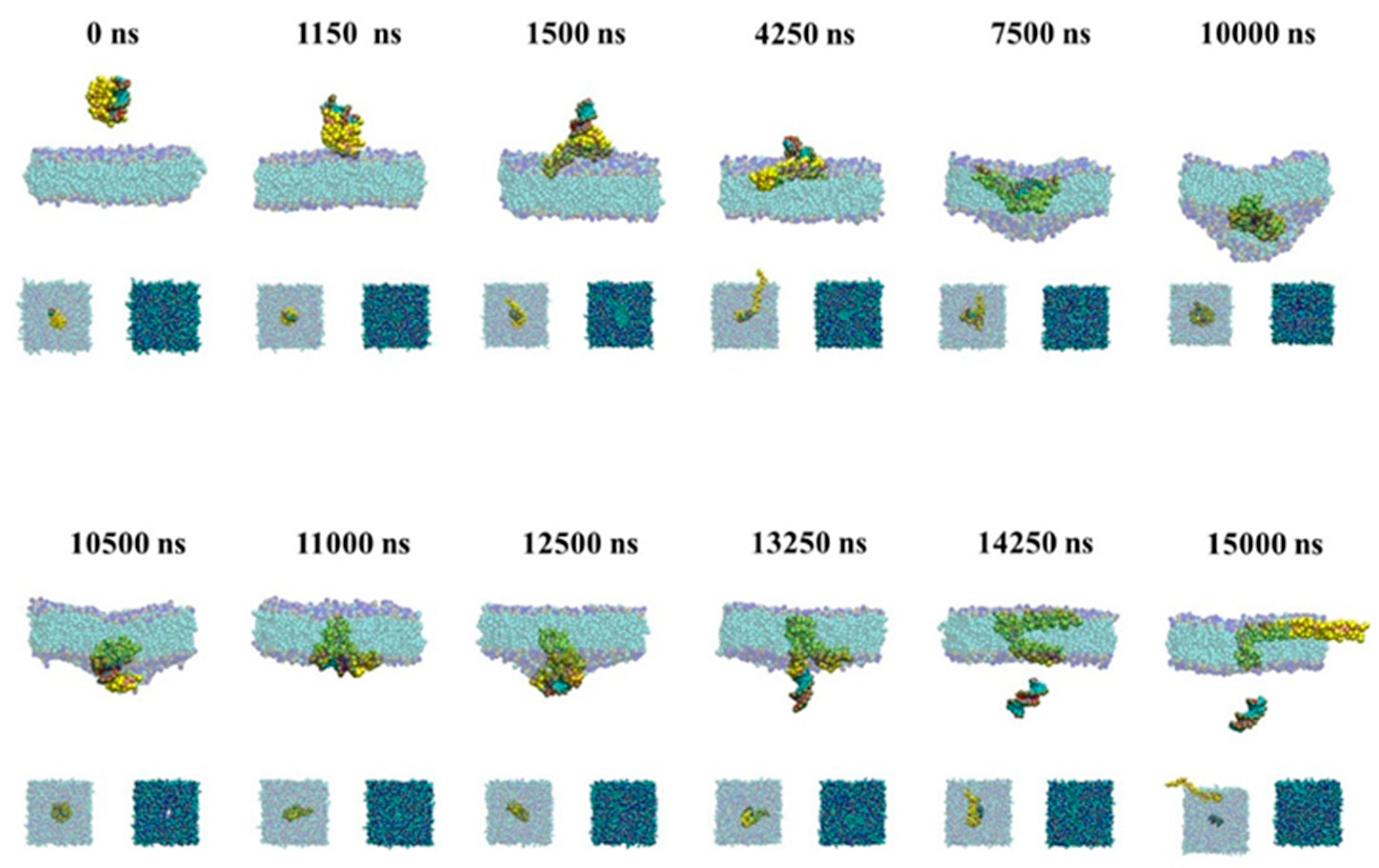 Molecules 23 01586 g005 Molecules 23 01586 g005