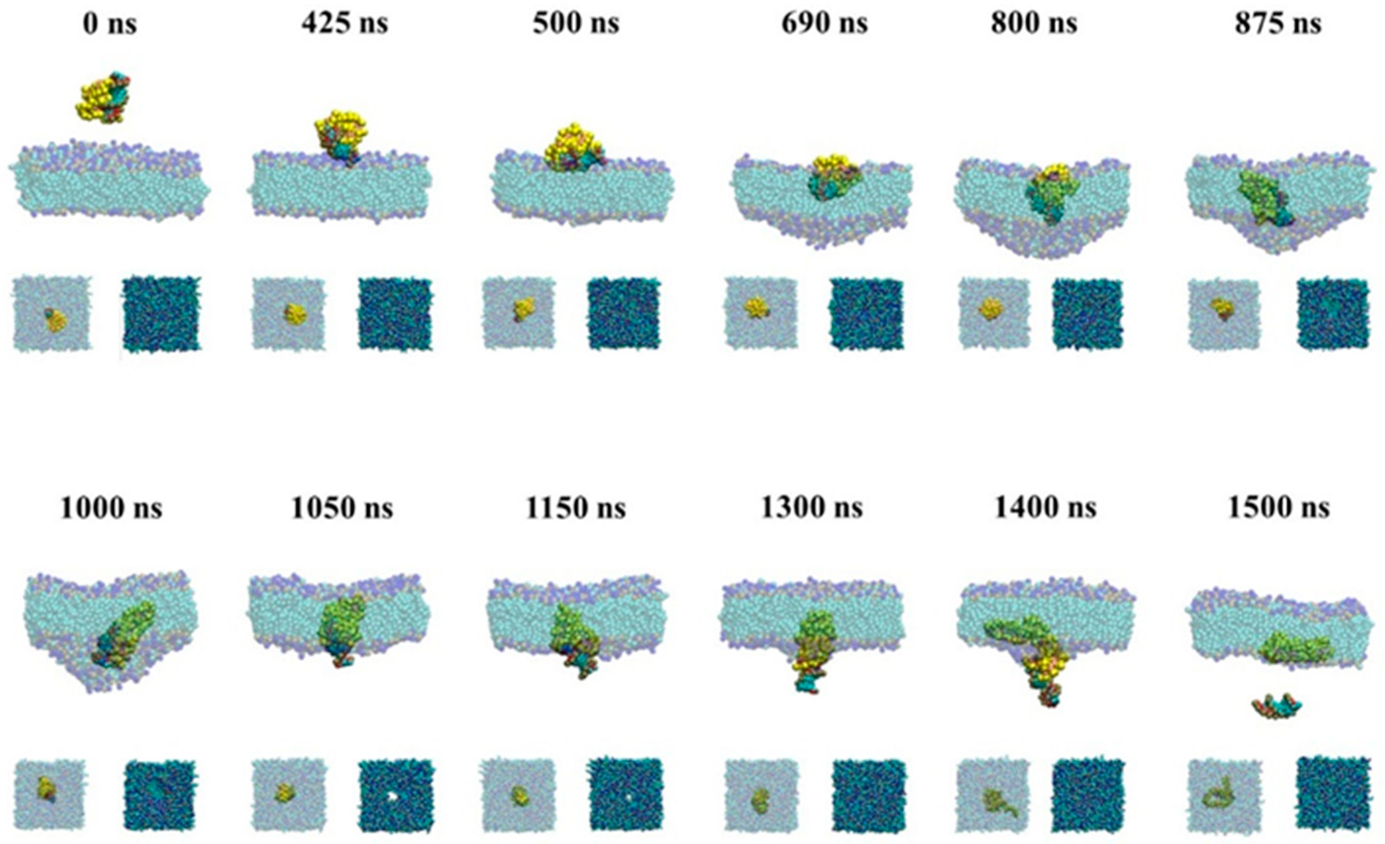 Molecules 23 01586 g006 Molecules 23 01586 g006