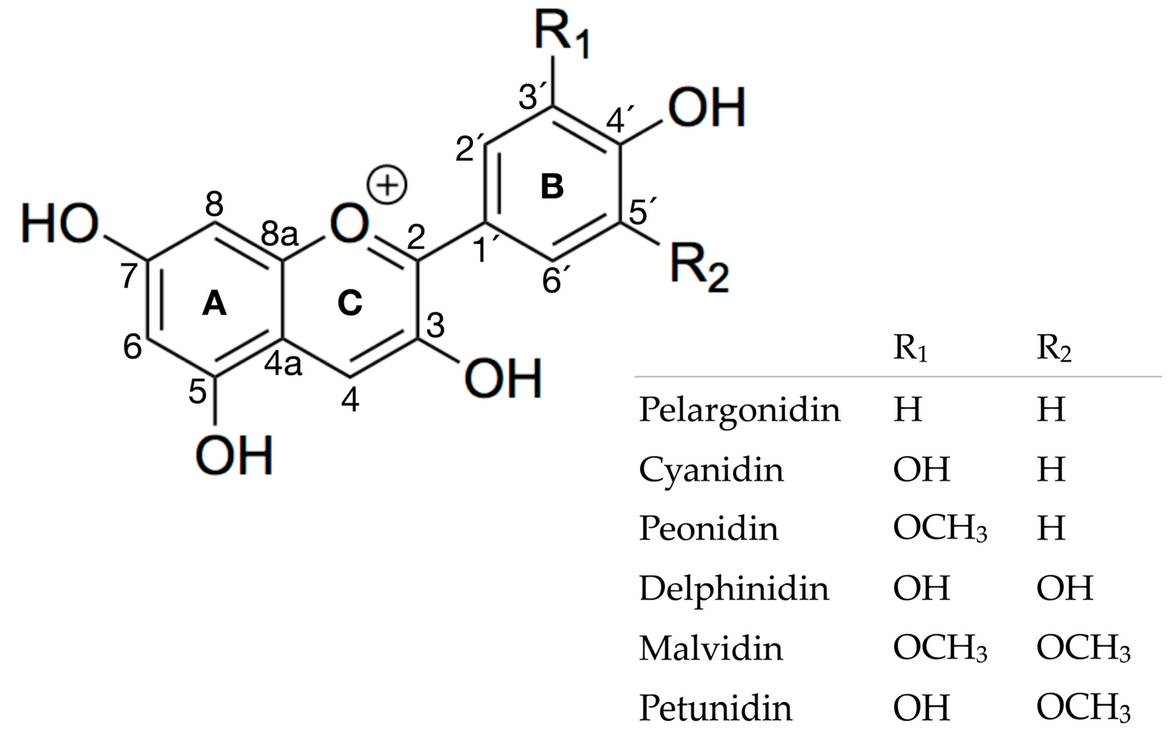 Molecules 23 01587 g001