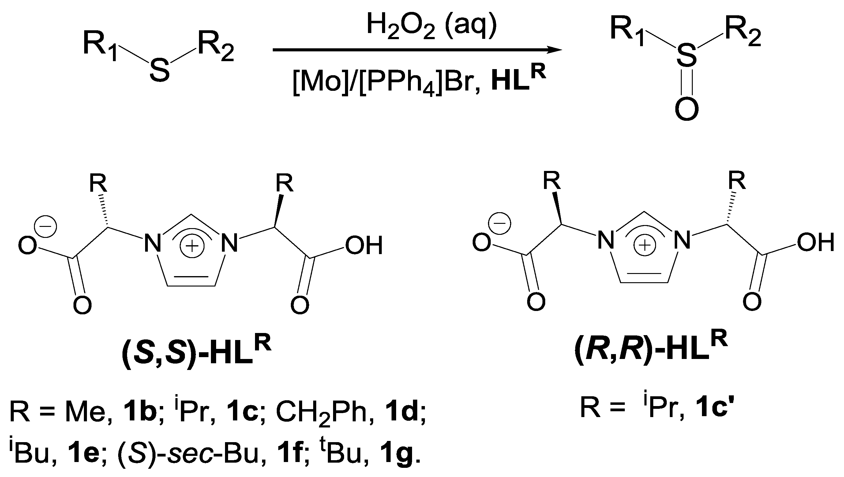 Molecules 23 01595 sch001 Molecules 23 01595 sch001