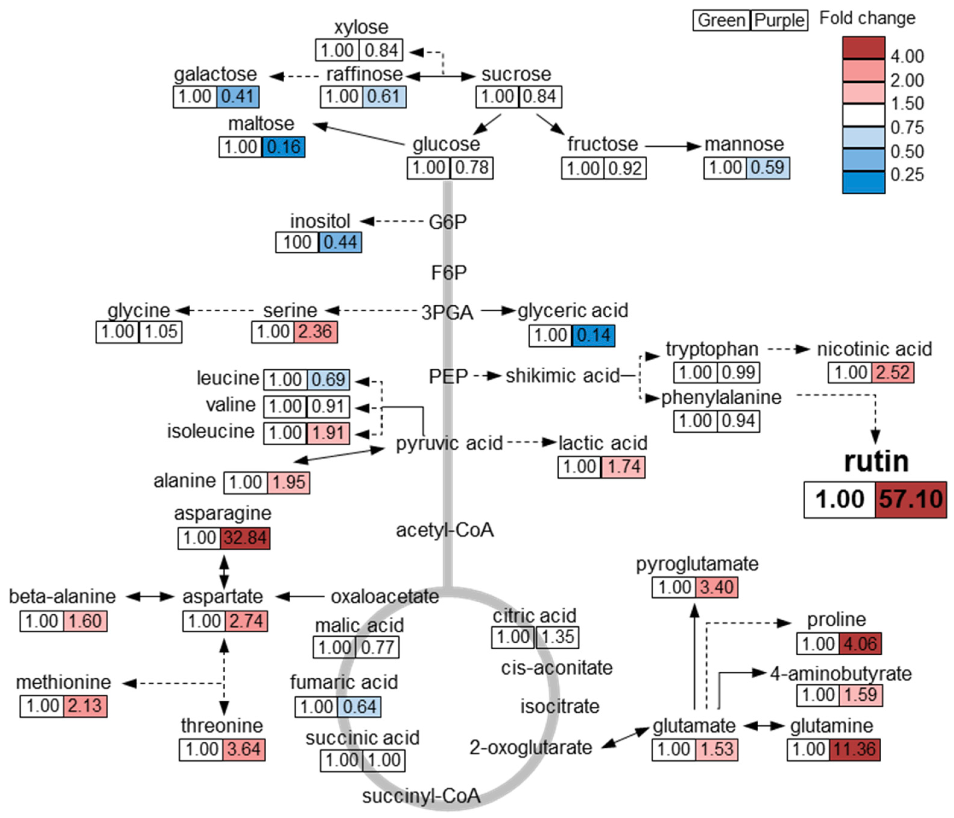 Molecules 23 01613 g004