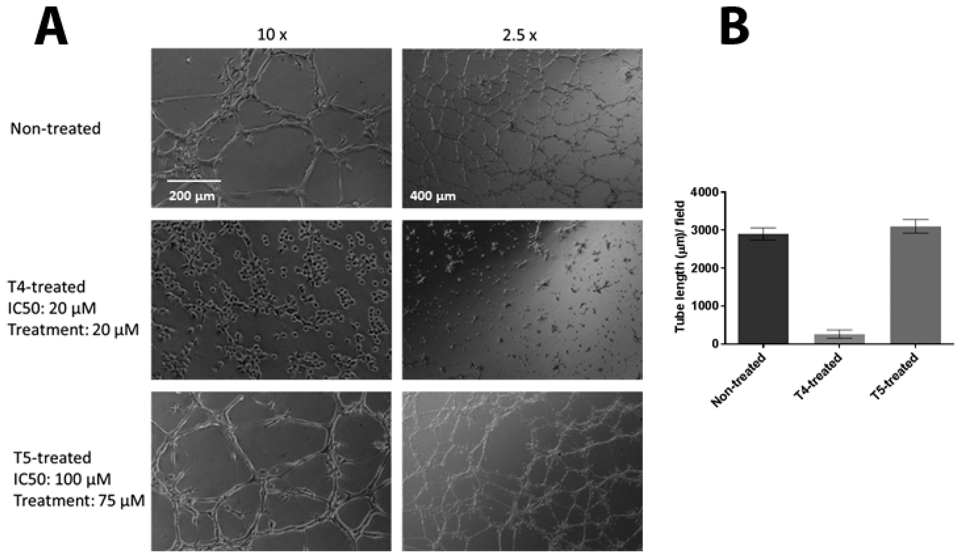 Molecules 23 01615 g007