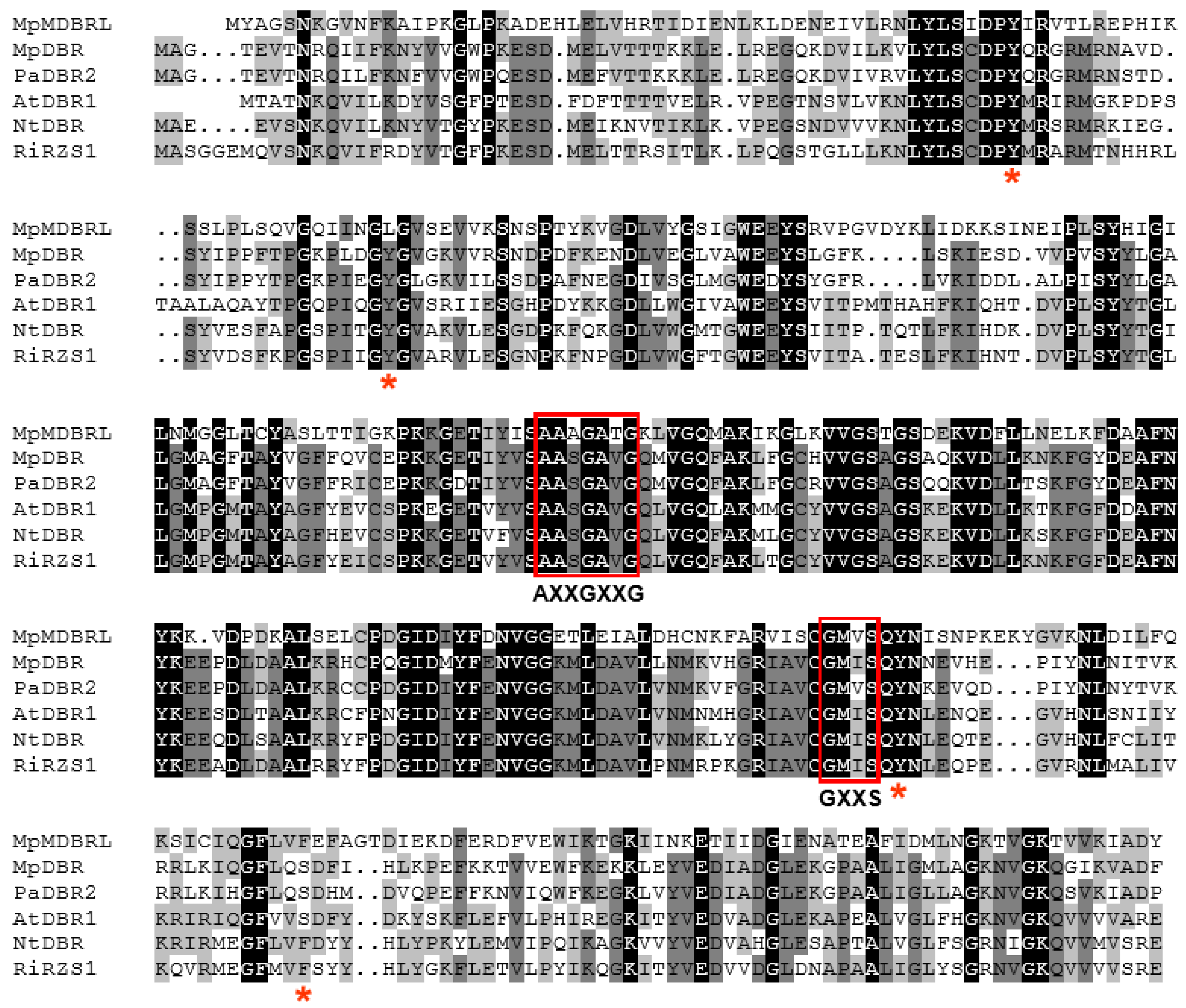 Molecules 23 01630 g001