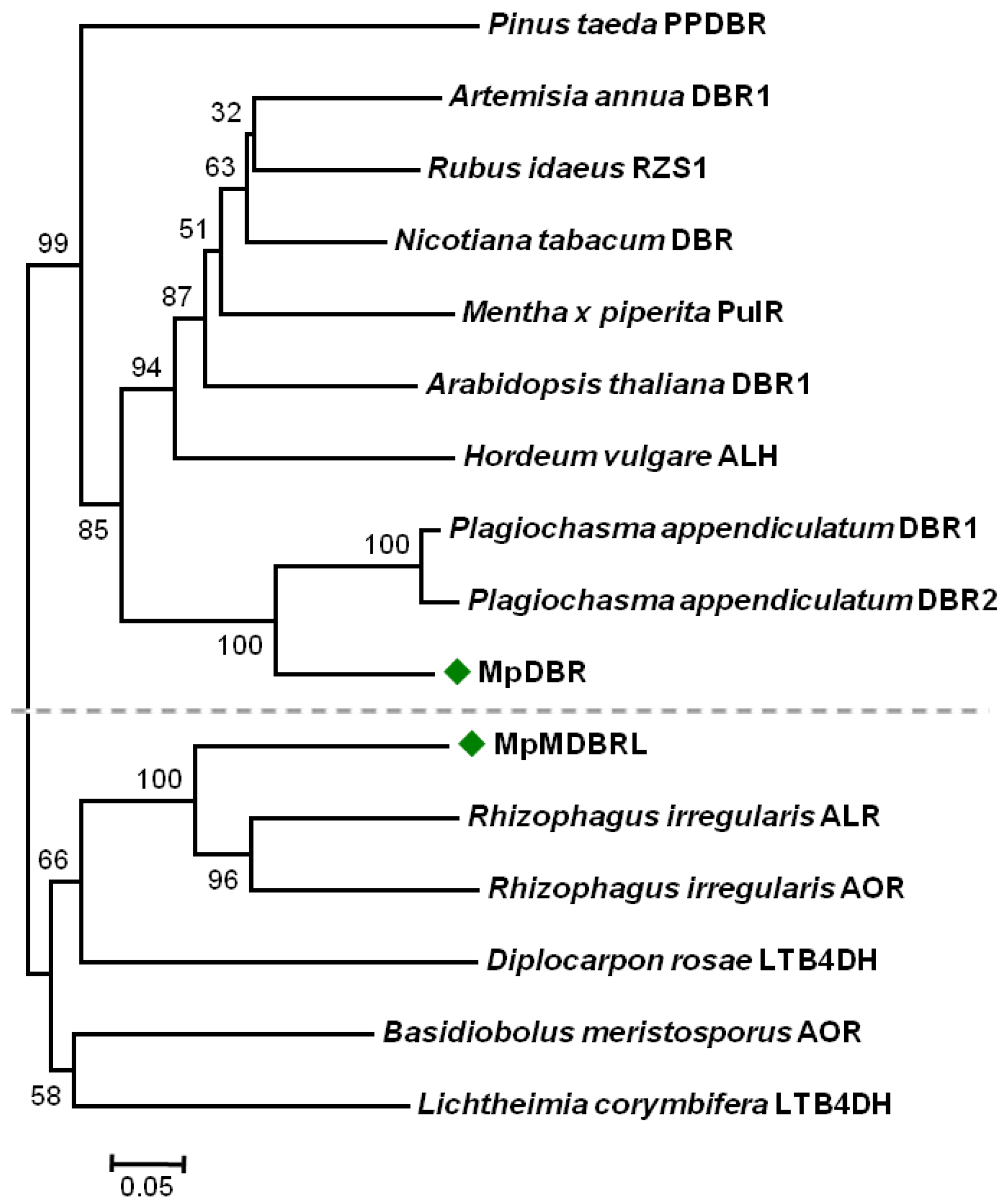 Molecules 23 01630 g002