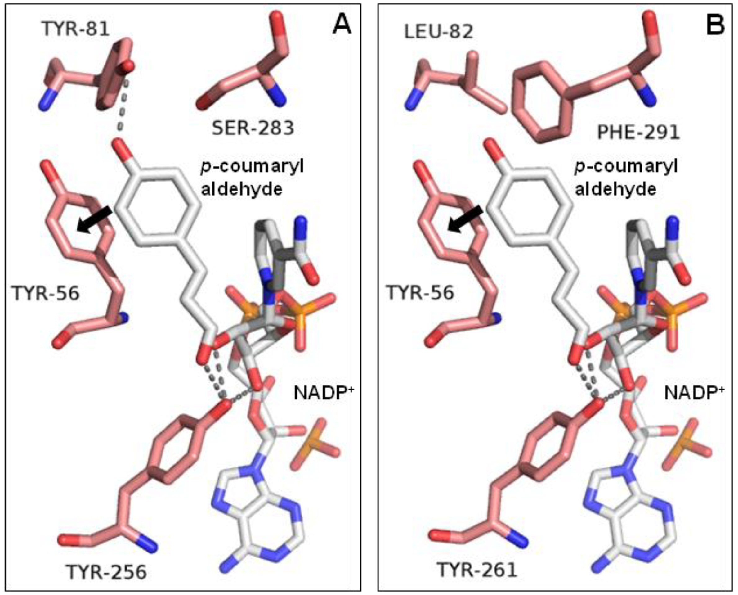 Molecules 23 01630 g005